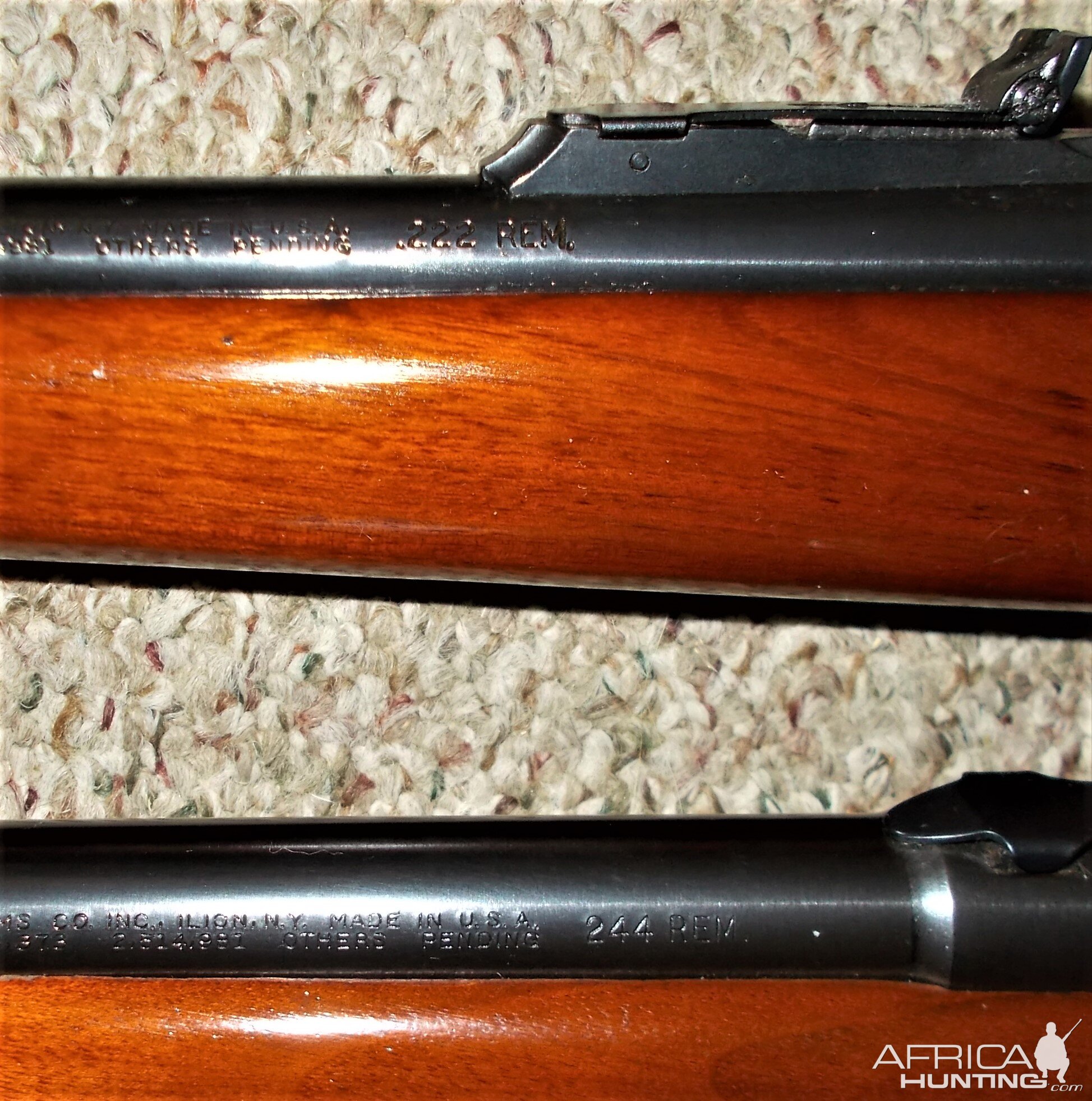 Remington 722 Rifle in .244 & .222 Remington Rifle in a 722 Remington