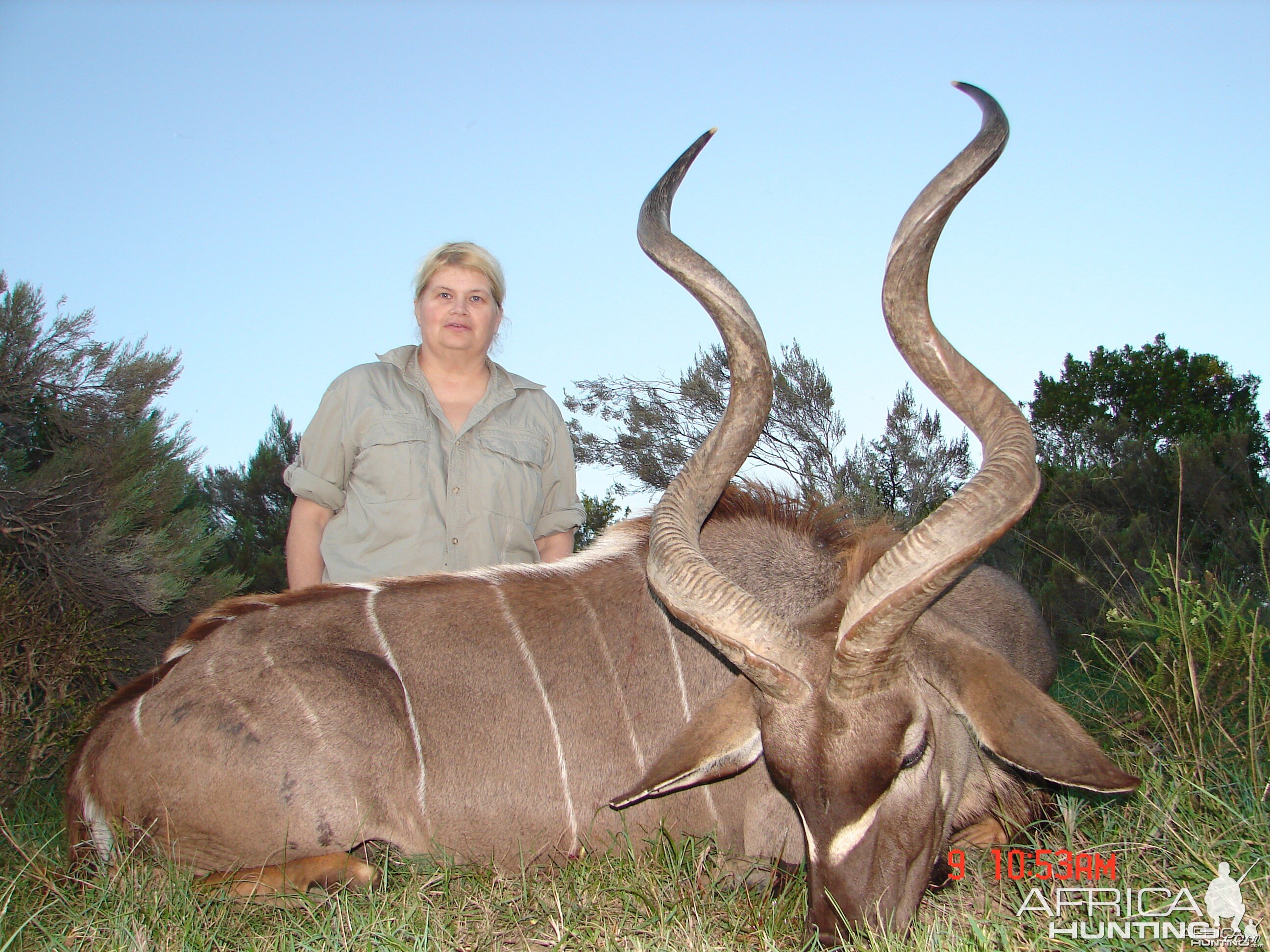 Rene's KUDU