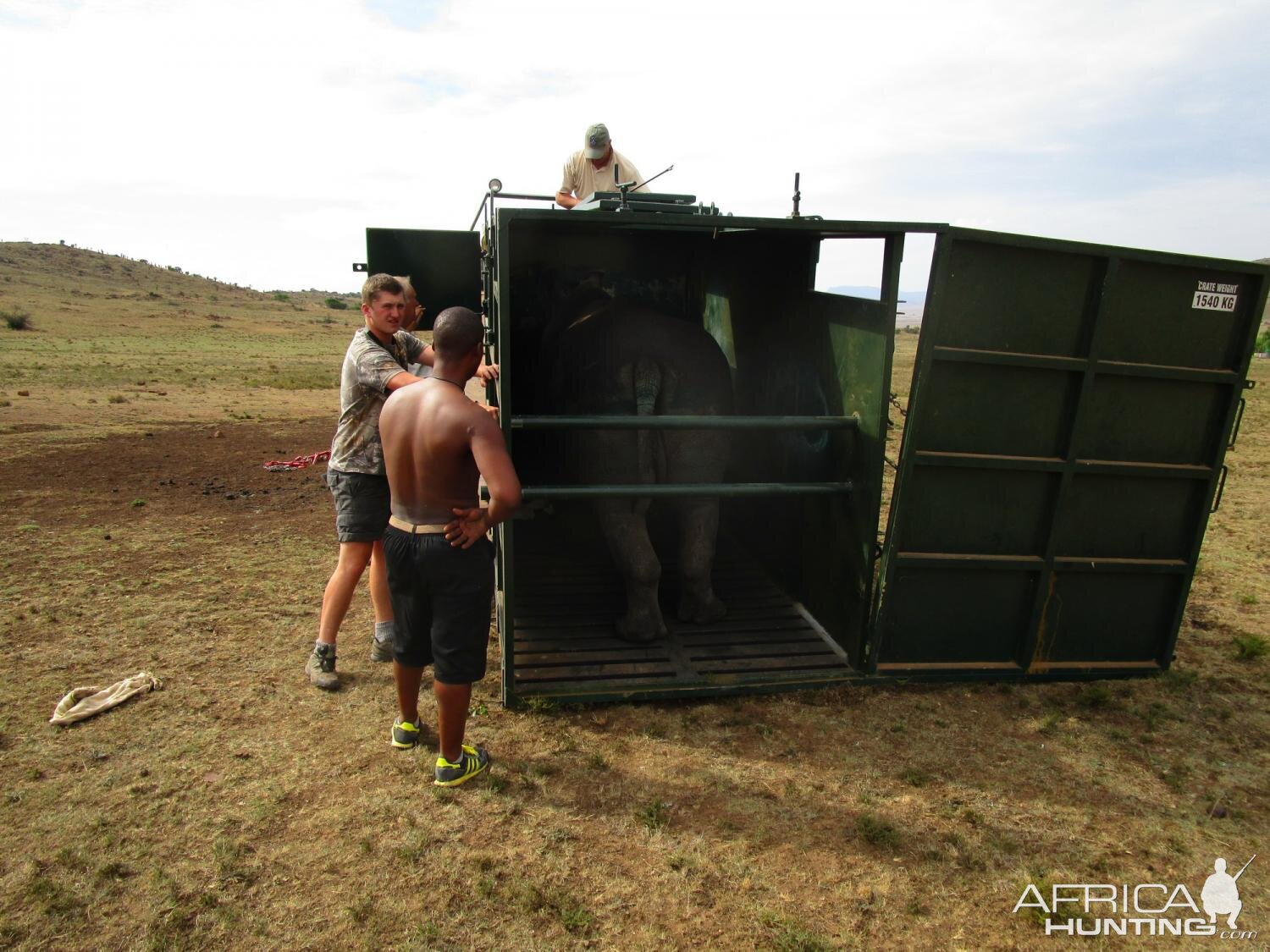 Rhino Conservation South Africa