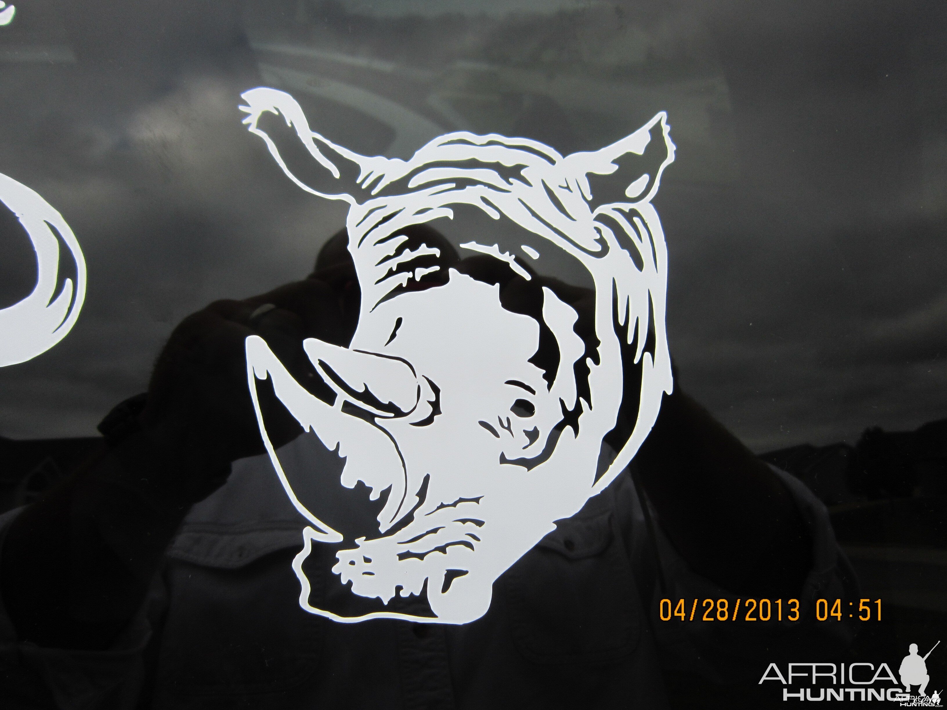 Rhino Decal Stickers