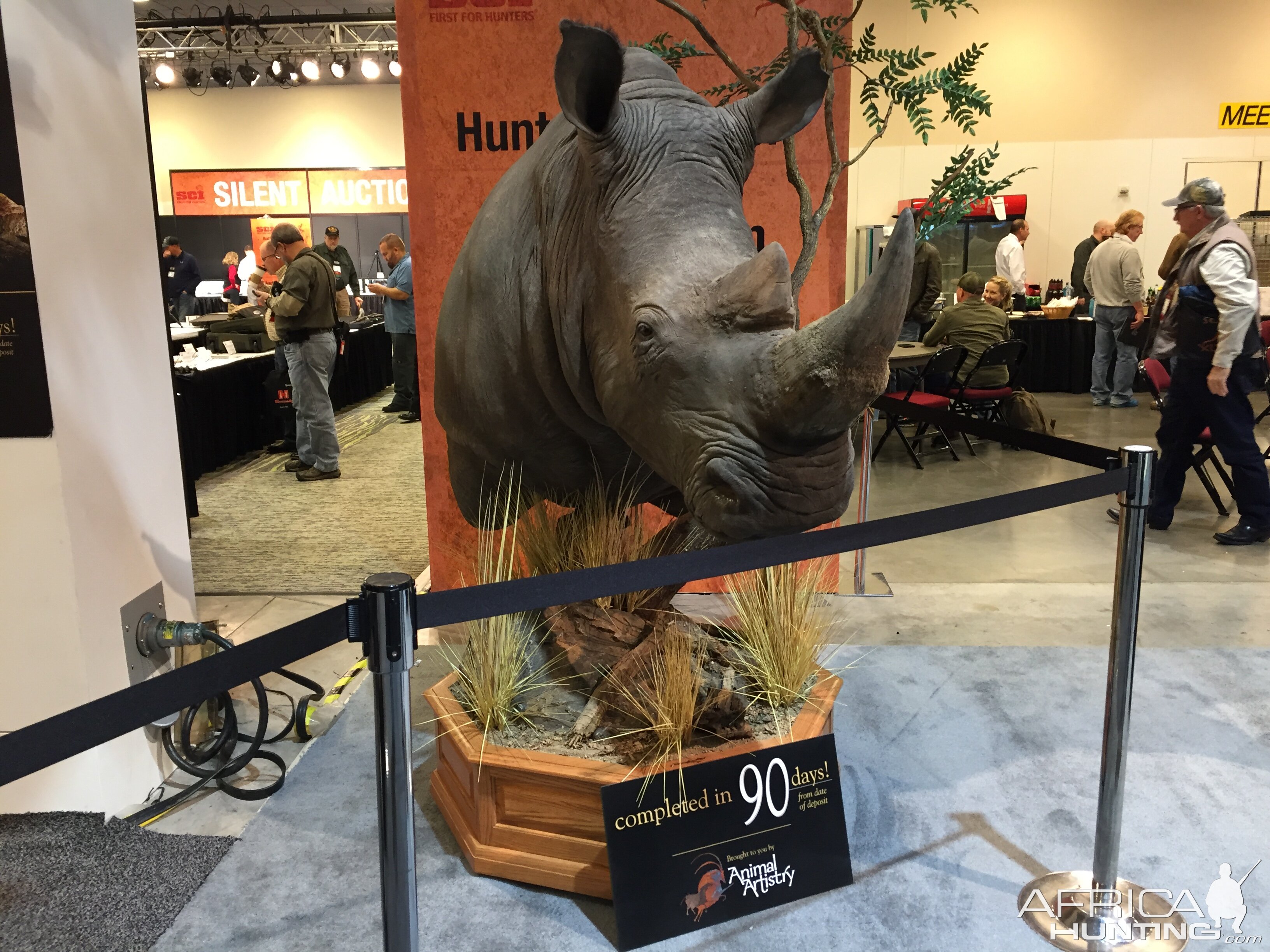 Rhino Shoulder Mount Taxidermy