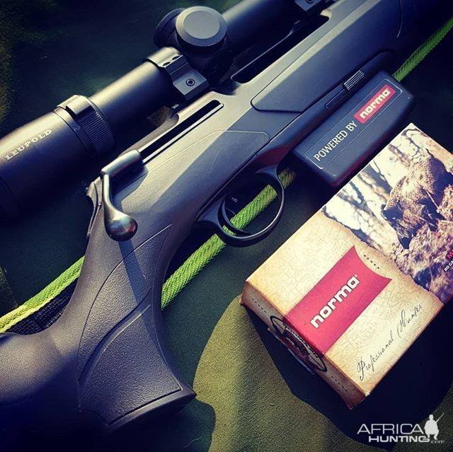 Rifle & Ammo