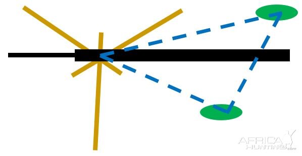 Rifle position on shooting sticks