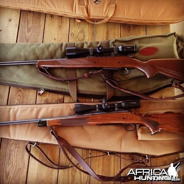 Rifles Ready for Africa