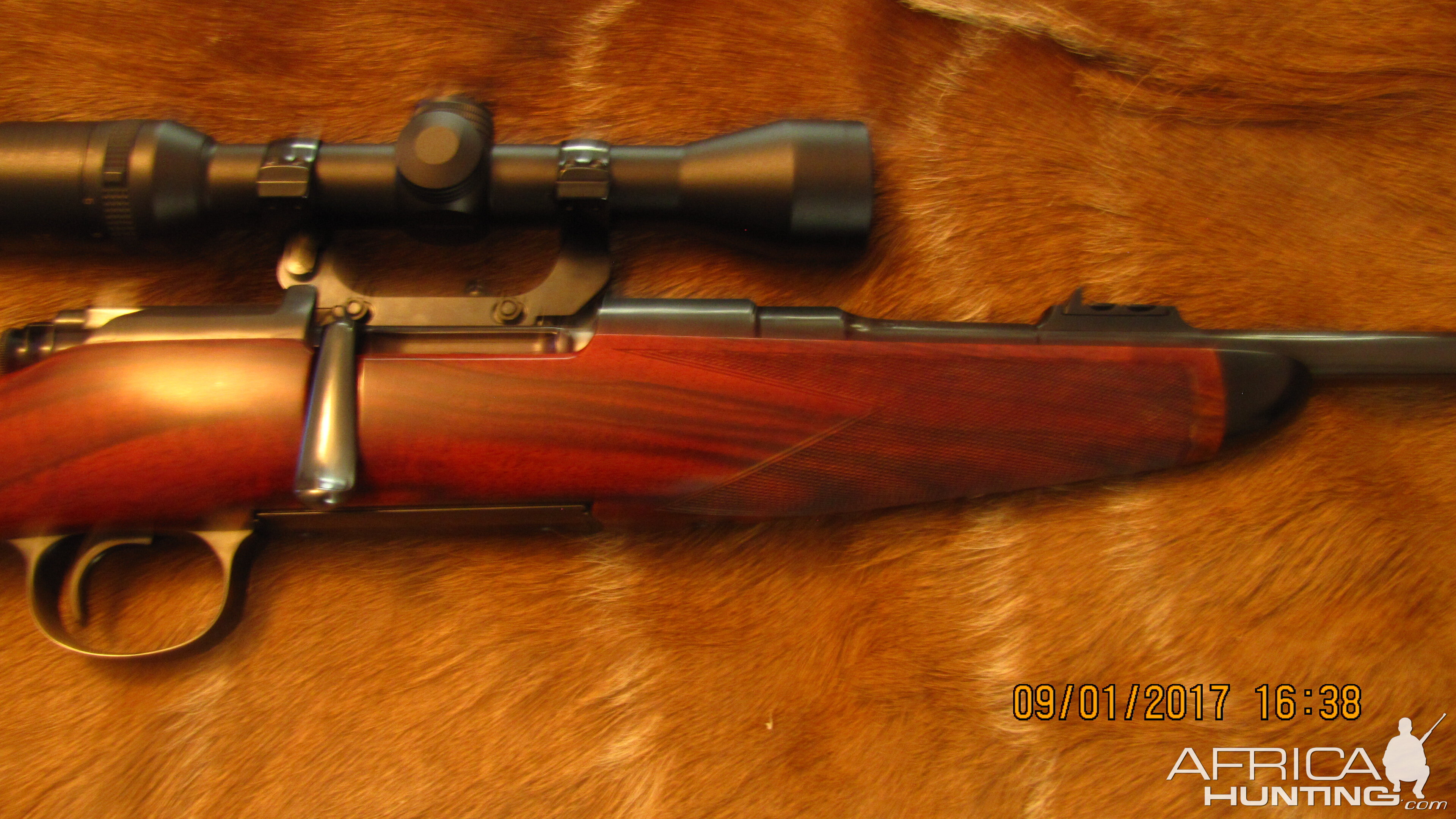 Rigby 275 Rifle