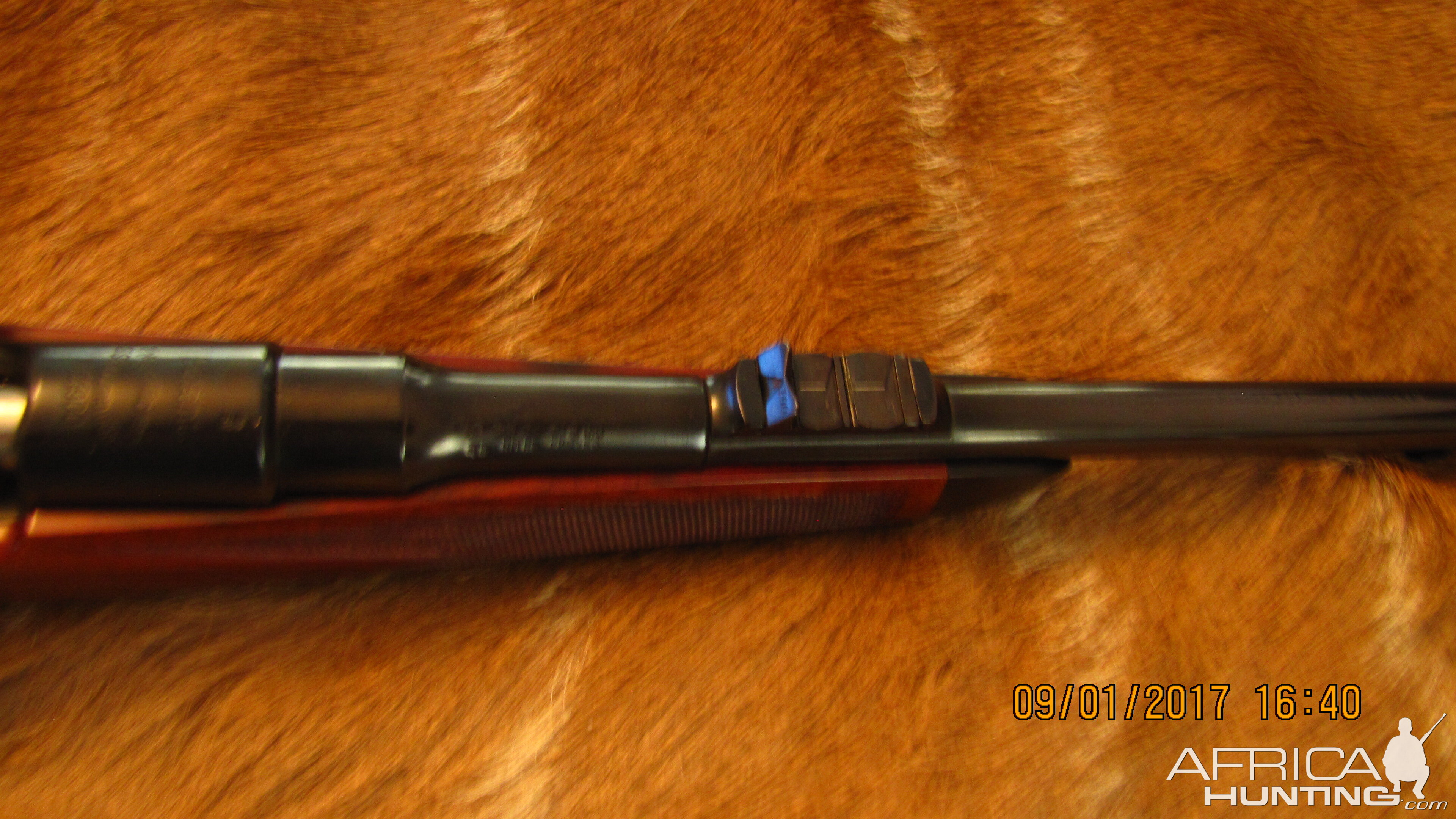 Rigby 275 Rifle