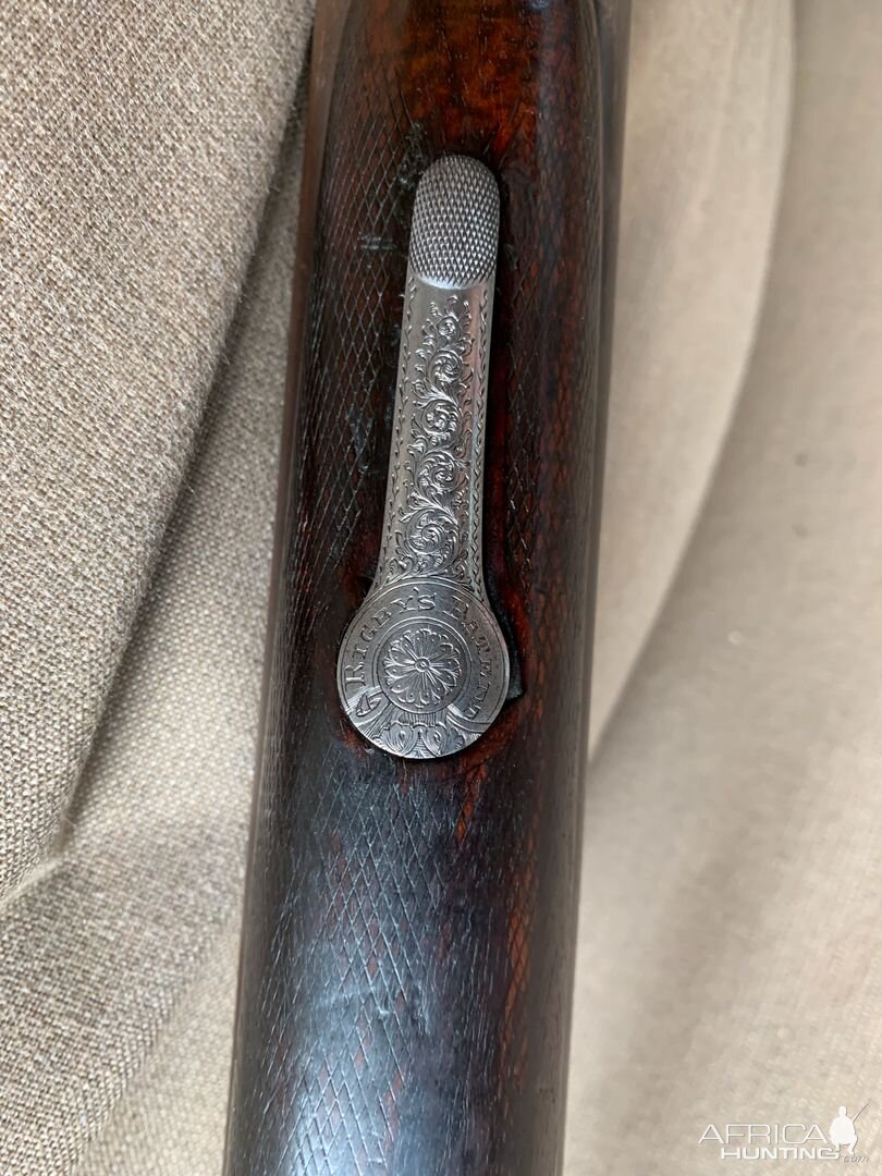 Rigby Rising Bite Underlever .500 BPE Double Rifle