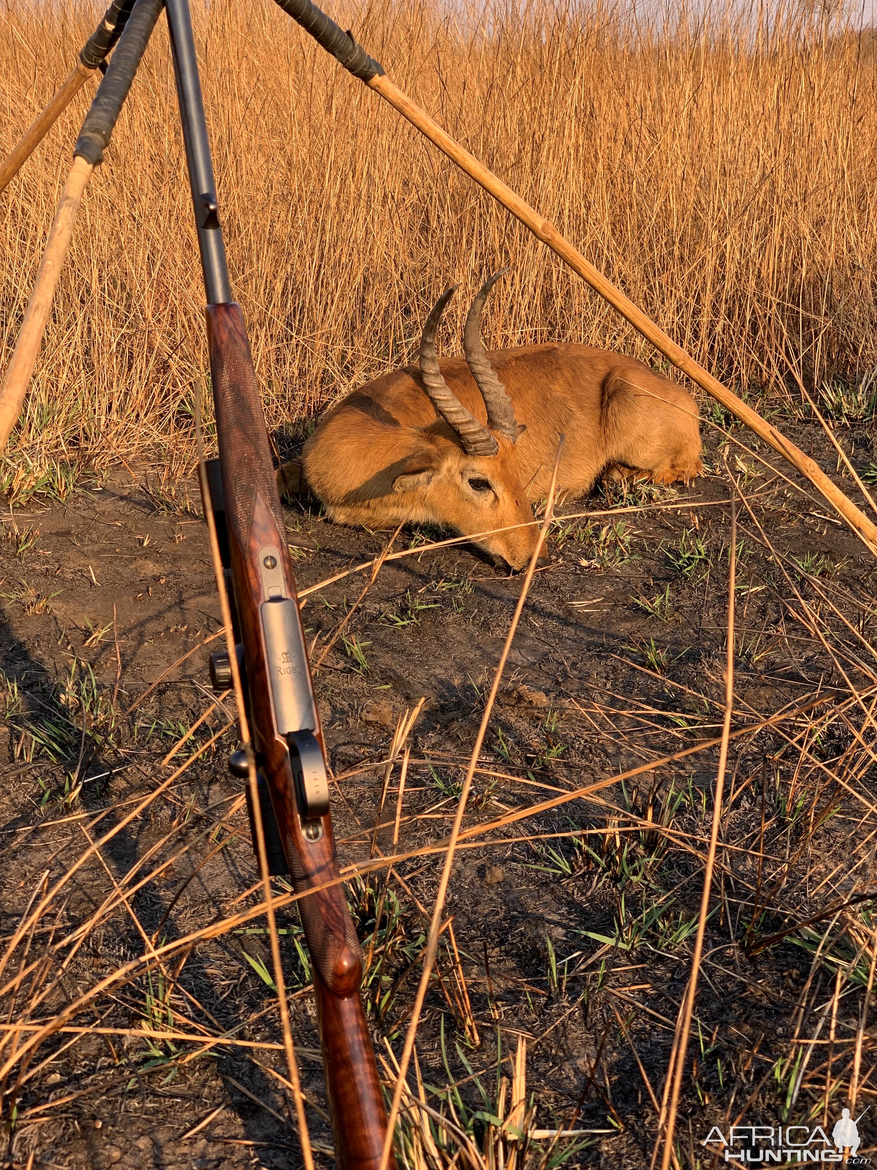 Rigby's Highland Stalker .275 Rifle