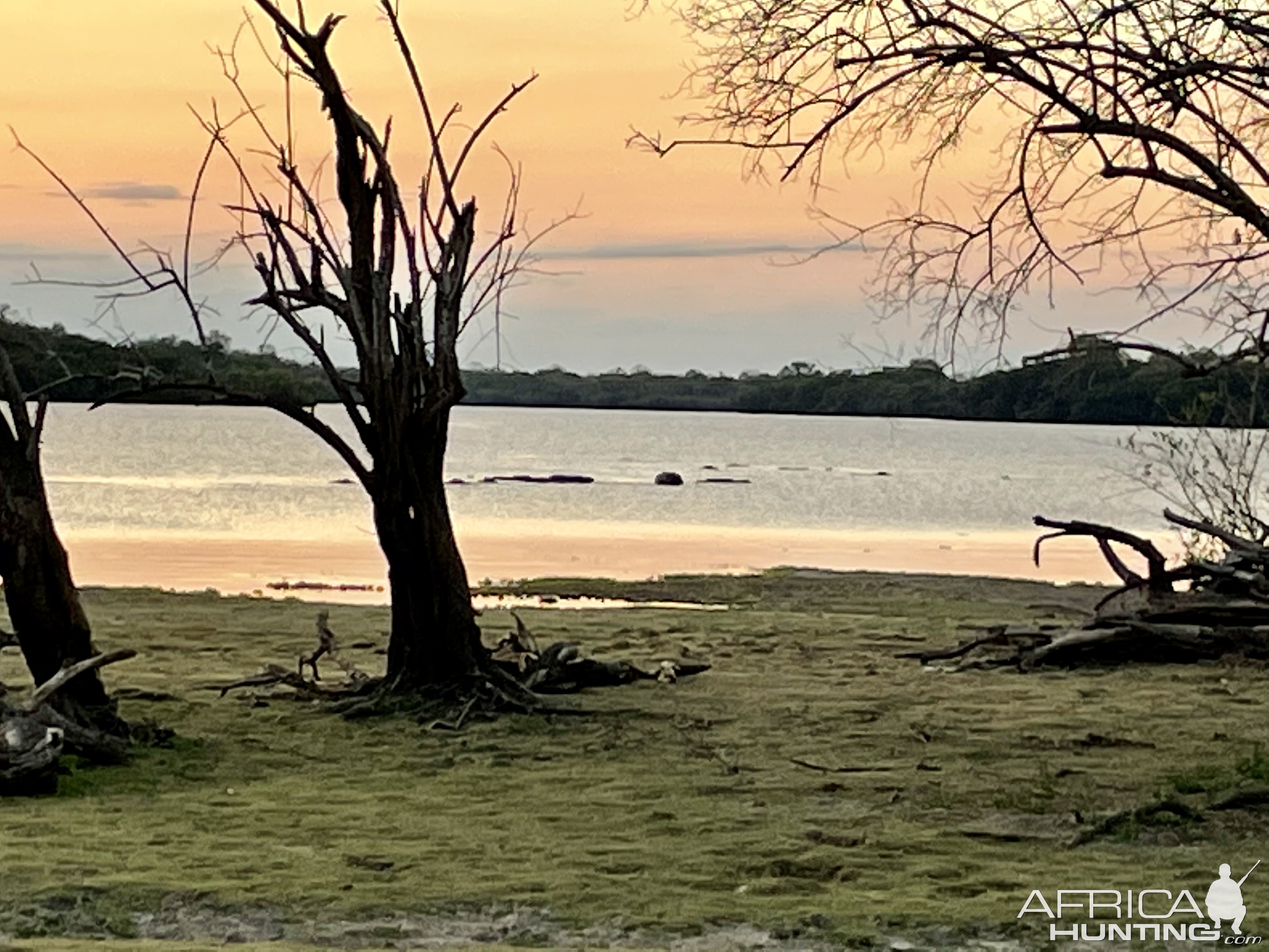 River Selous Game Reserve Tanzania