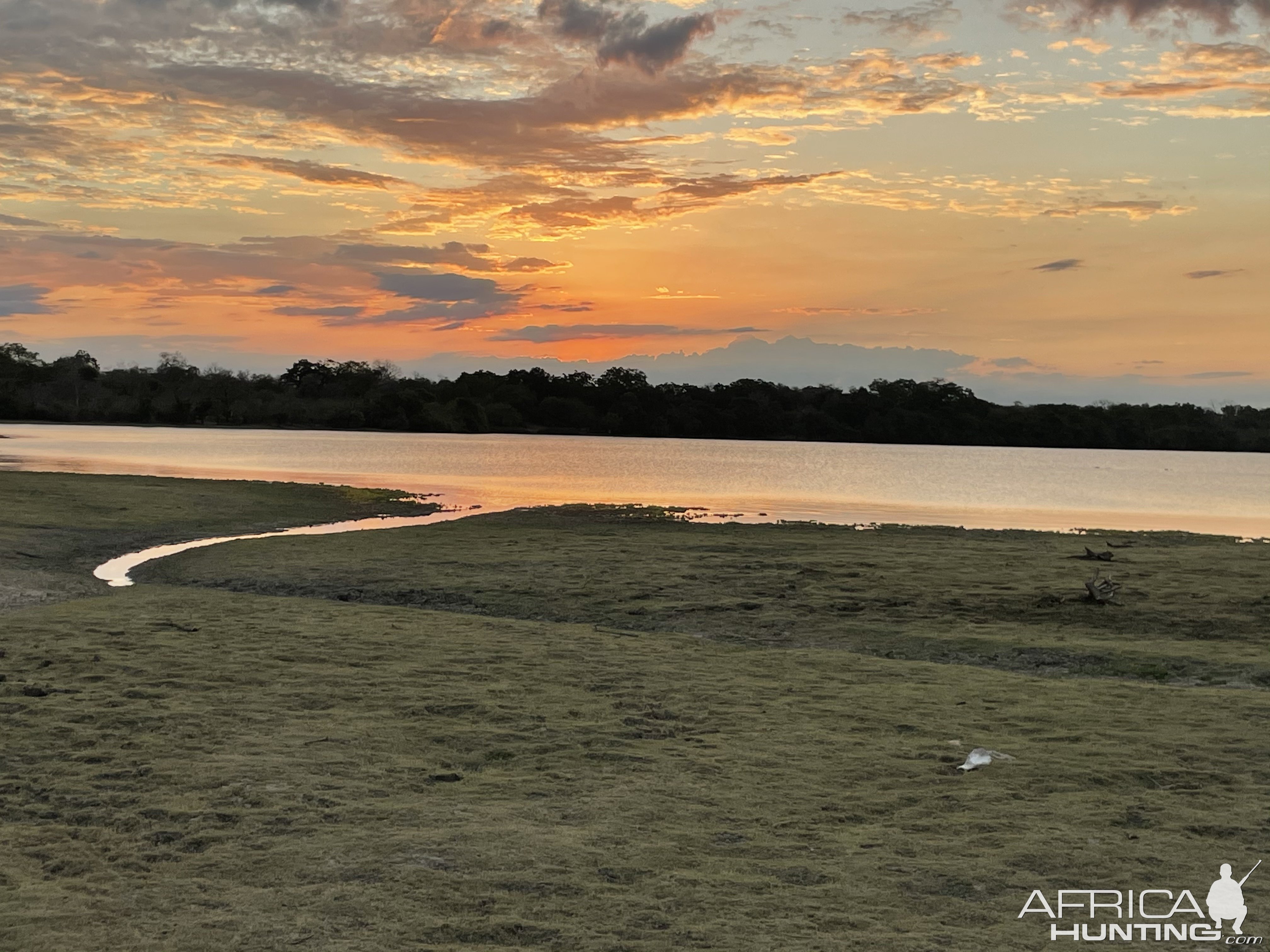 River Selous Game Reserve Tanzania