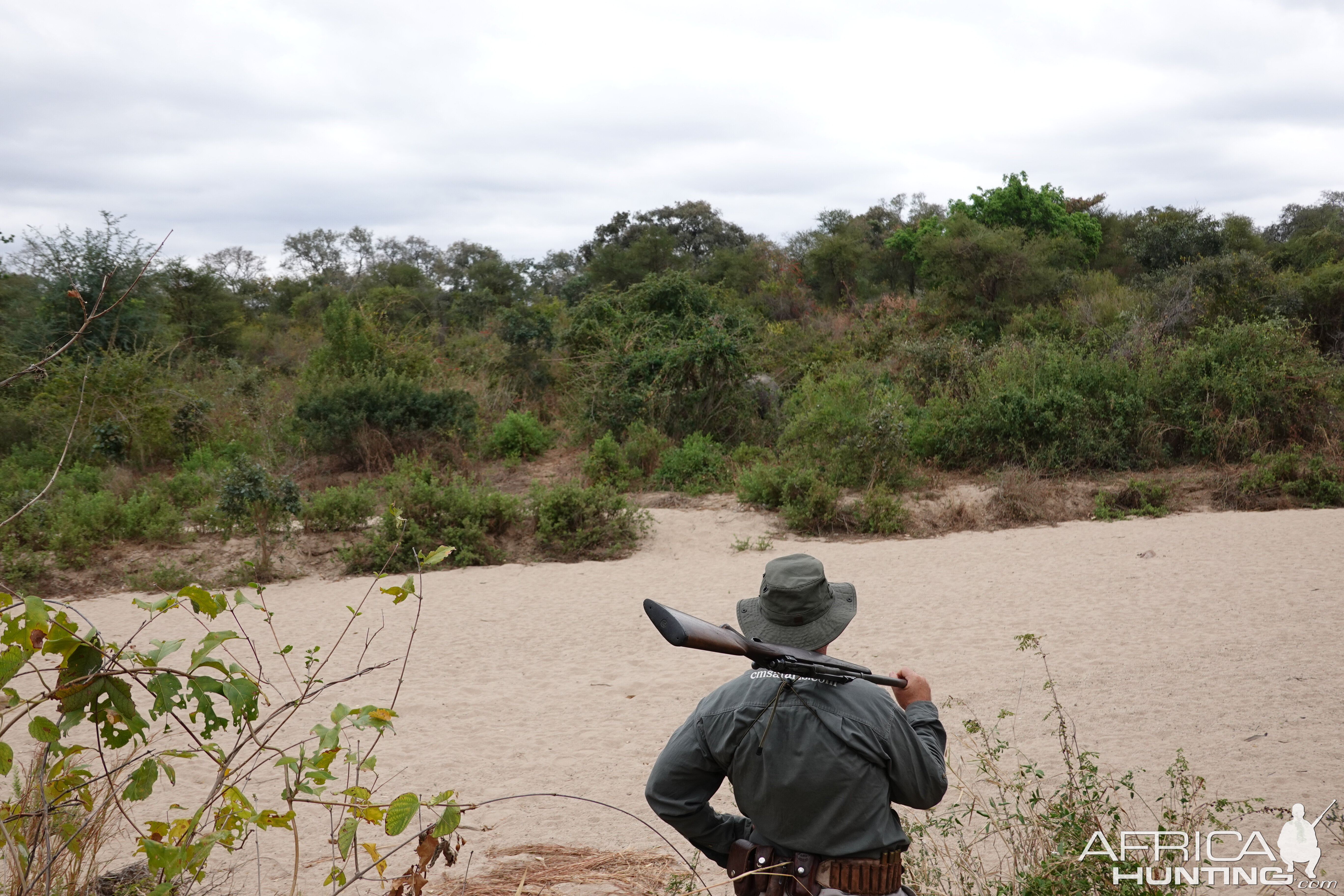 River Zimbabwe