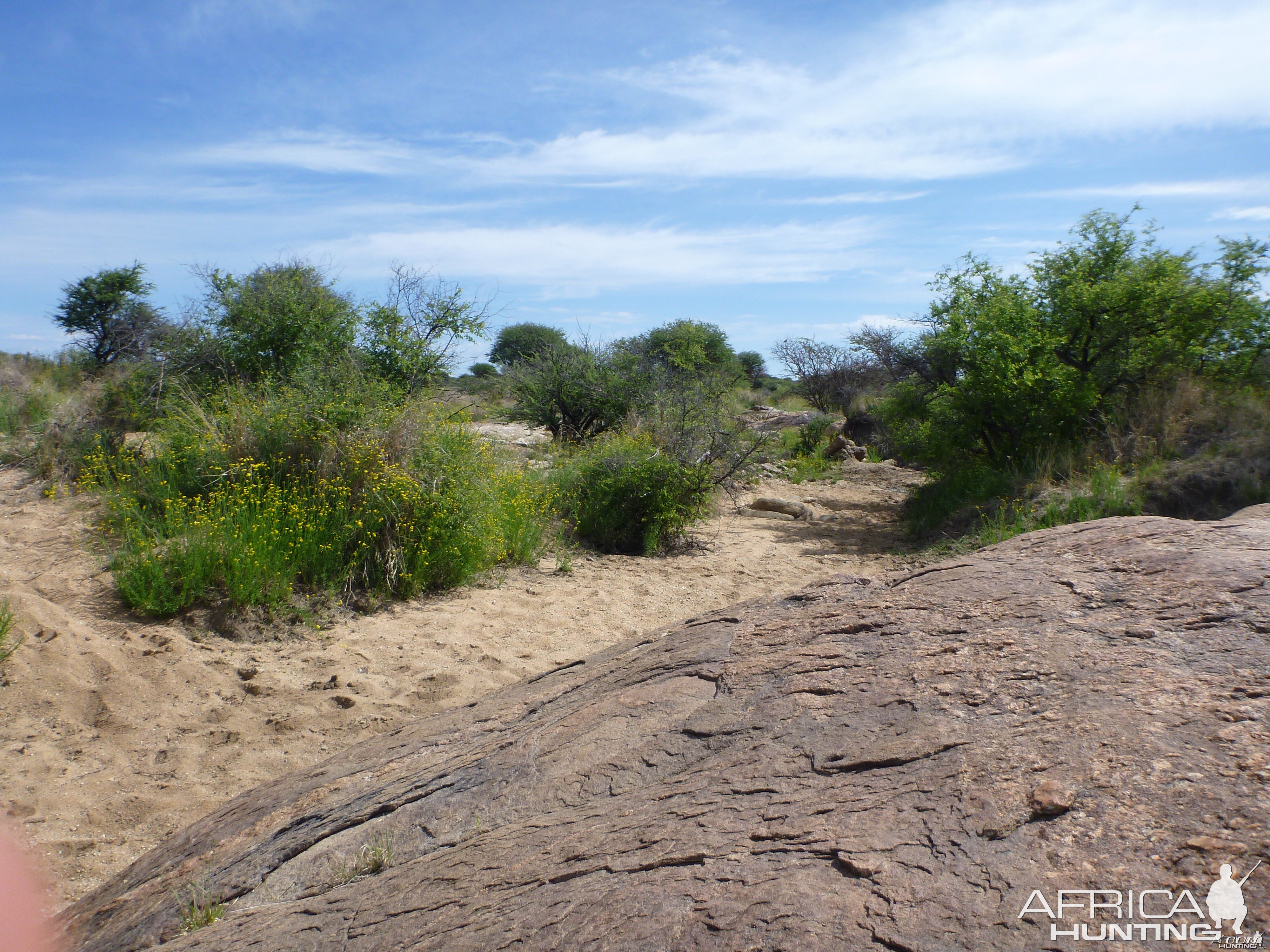 Riverbed Namibia