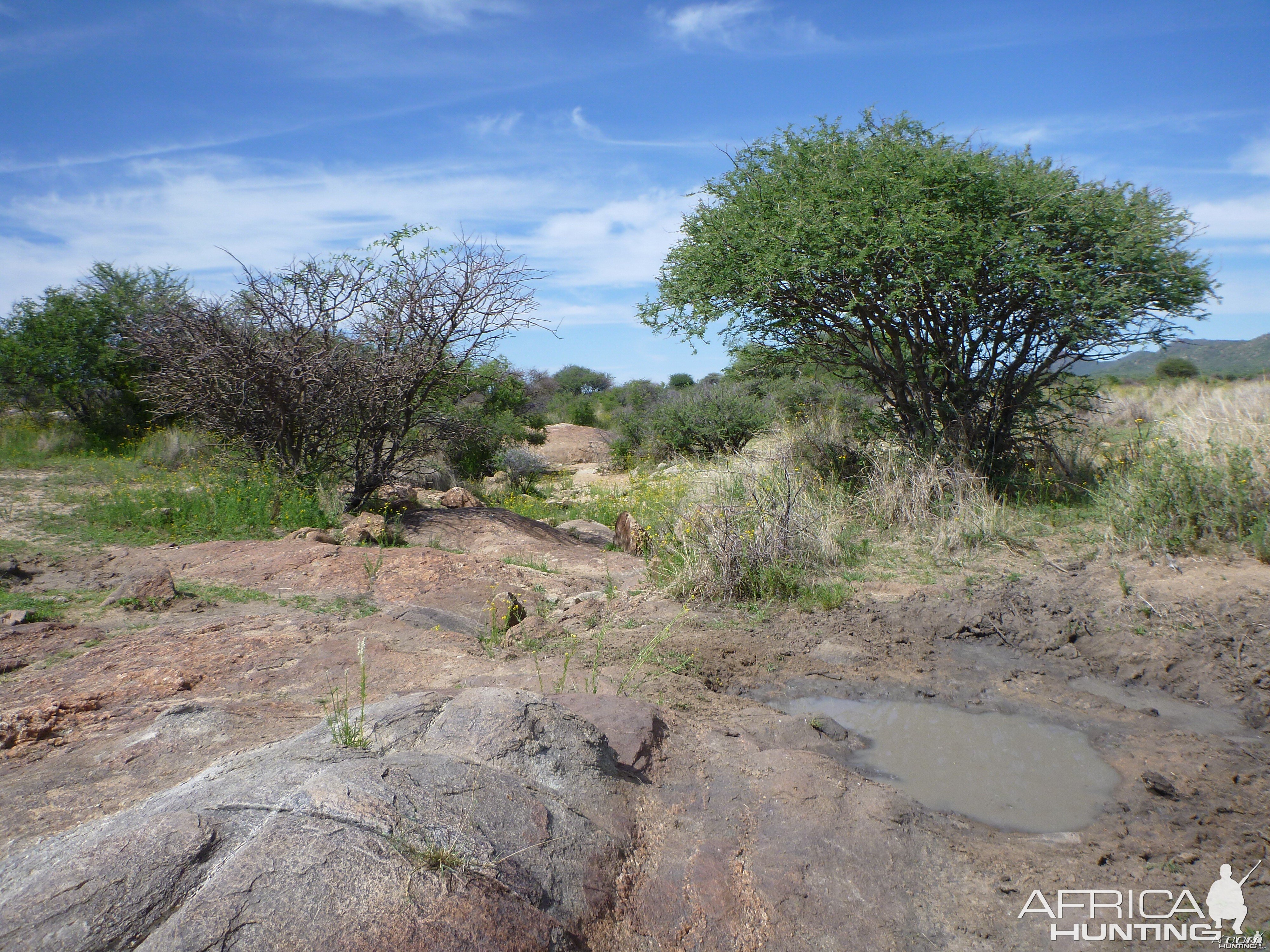 Riverbed Namibia