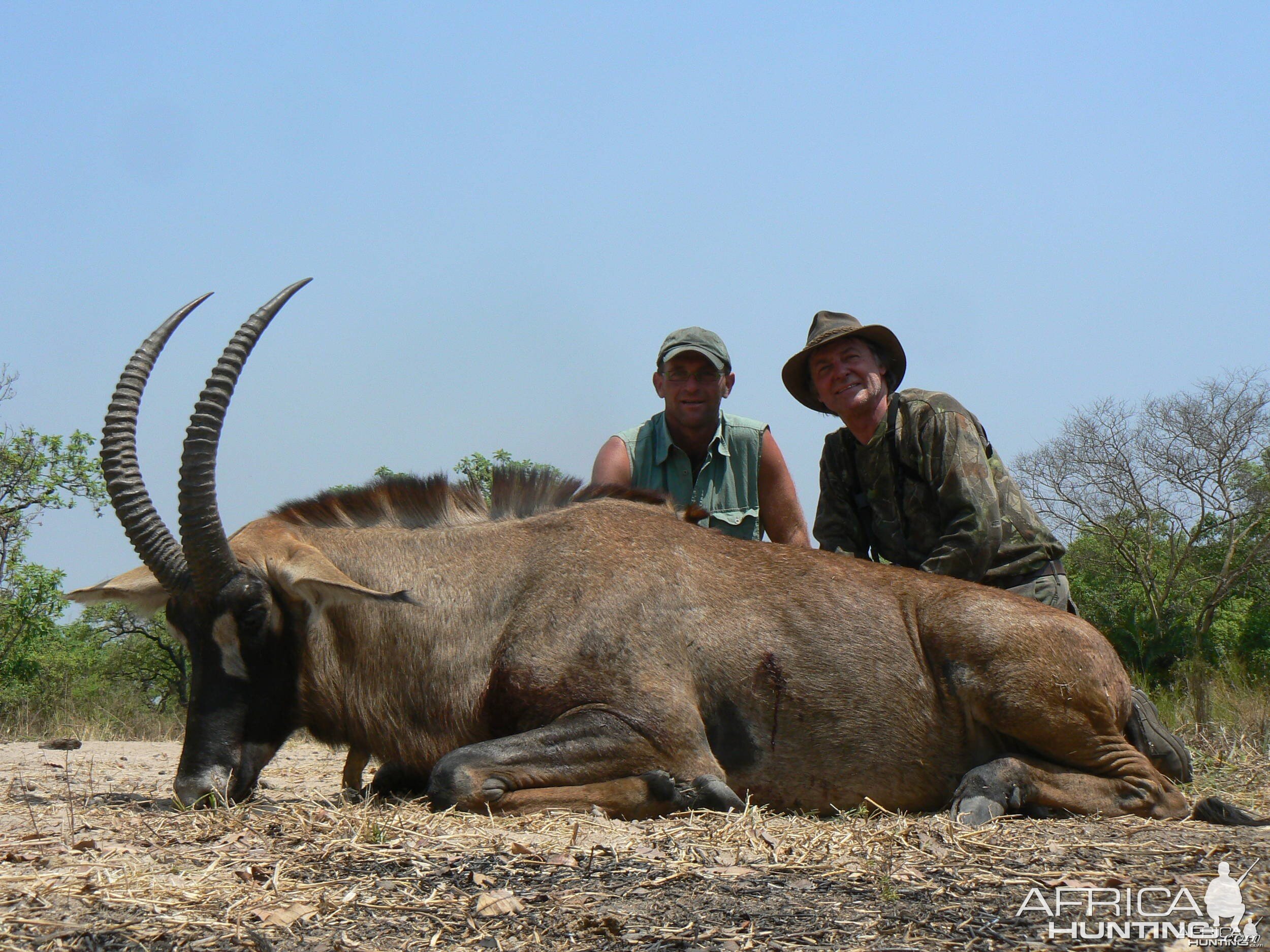 Roan Antelope CAR