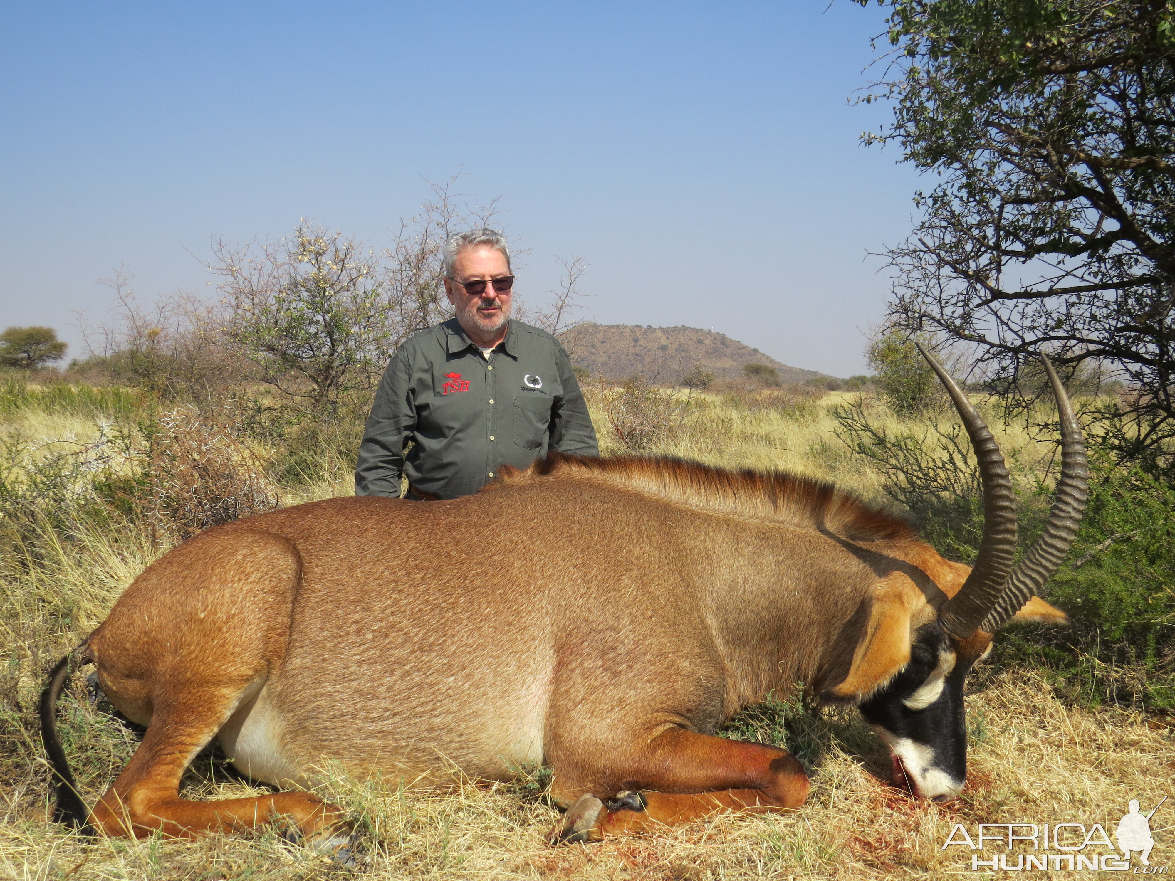 Roan Antelope Hunt South Africa