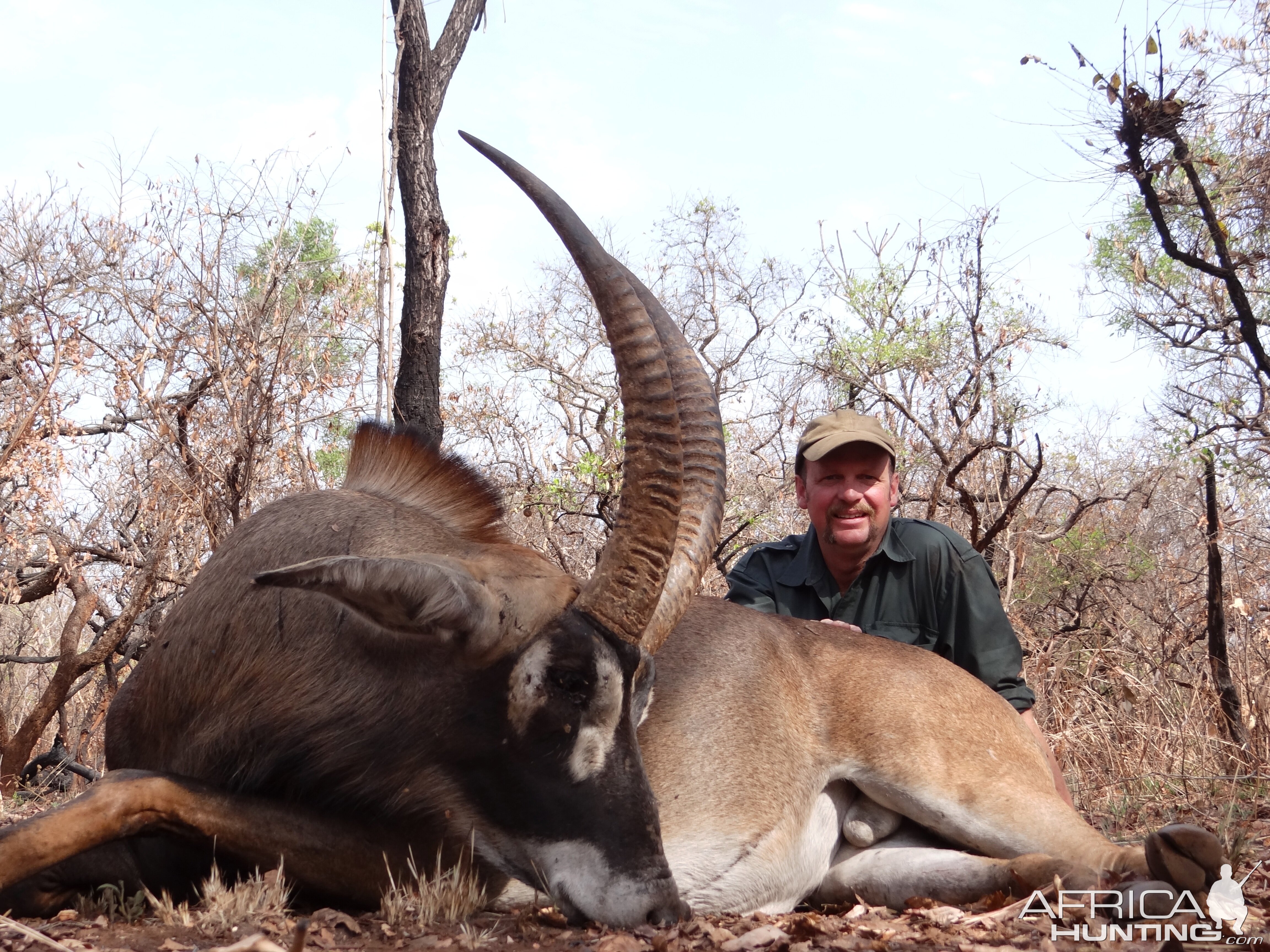 Roan Antelope hunted in CAR