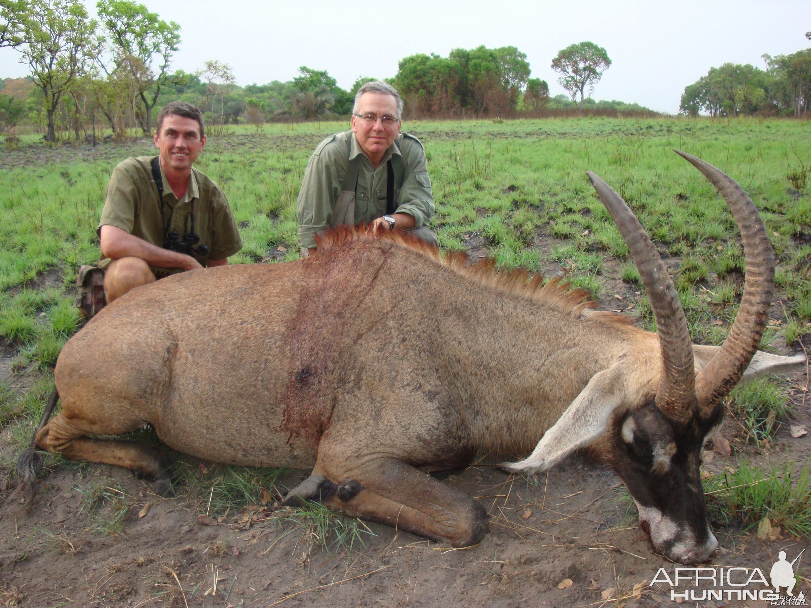 Roan Antelope hunted in Central Africa with Club Faune