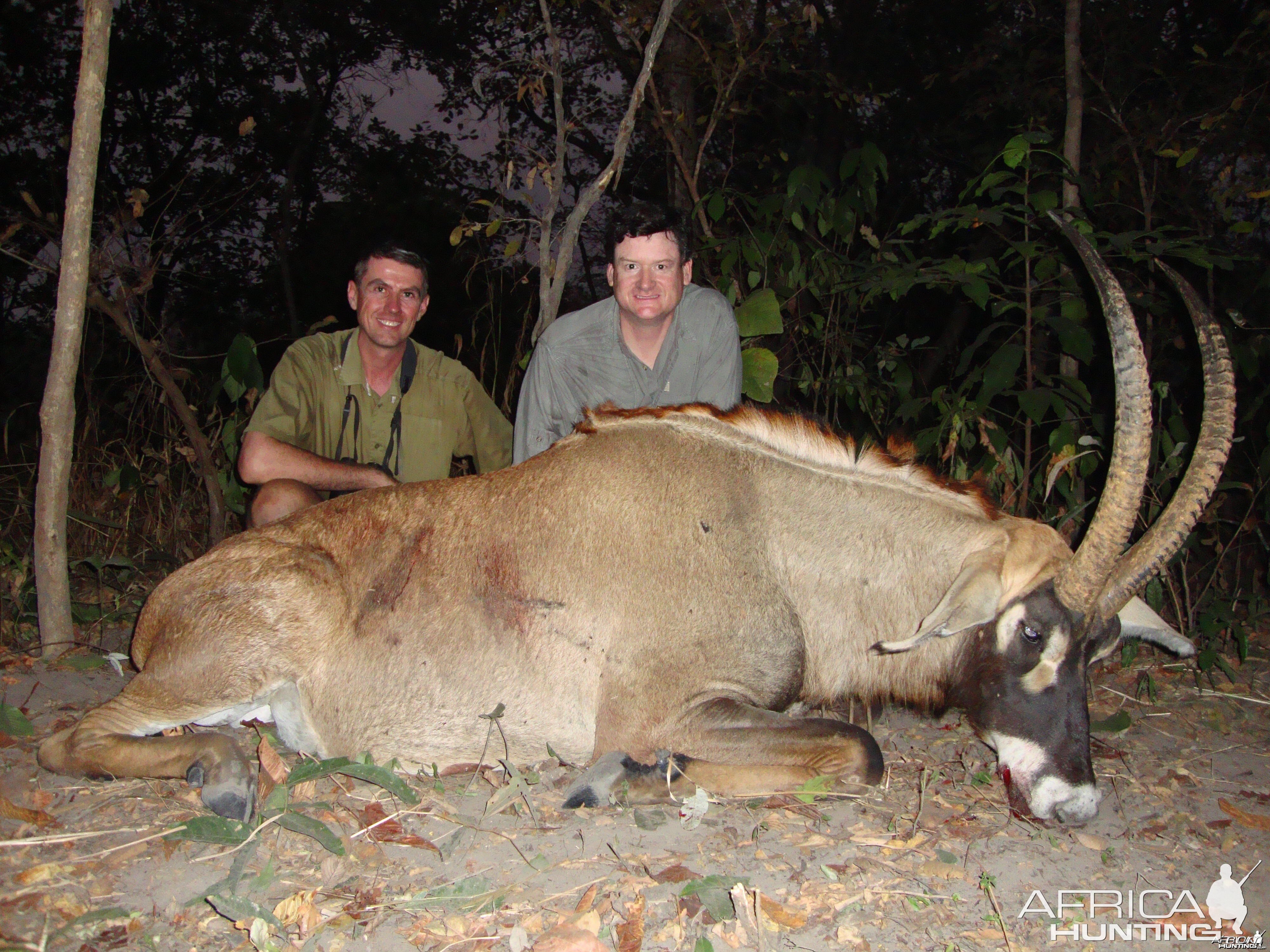 Roan Antelope hunted in Central Africa with Club Faune