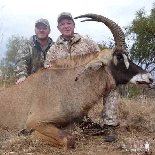 Roan Antelope Hunting South Africa