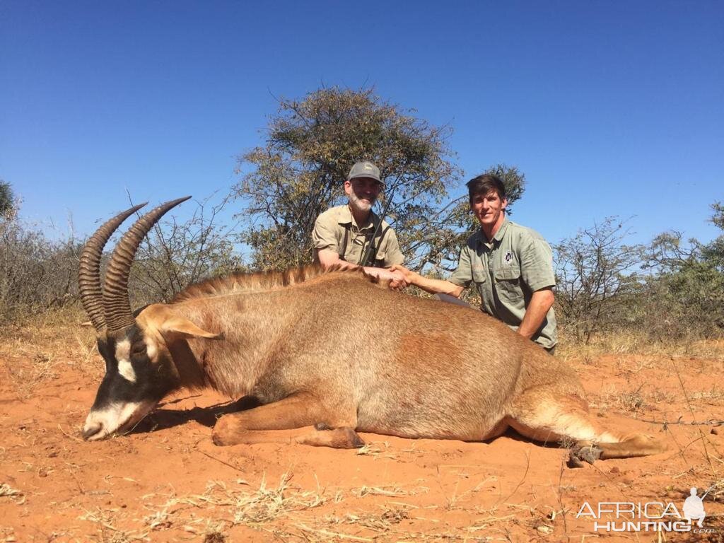 Roan Antelope Hunting South Africa