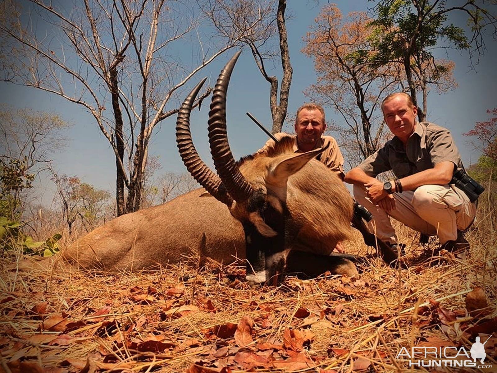 Roan Antelope Hunting Zambia