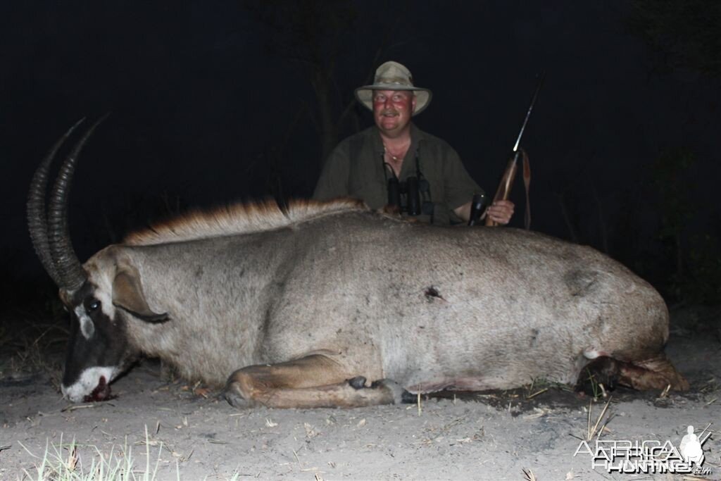 Roan Antelope Namibia