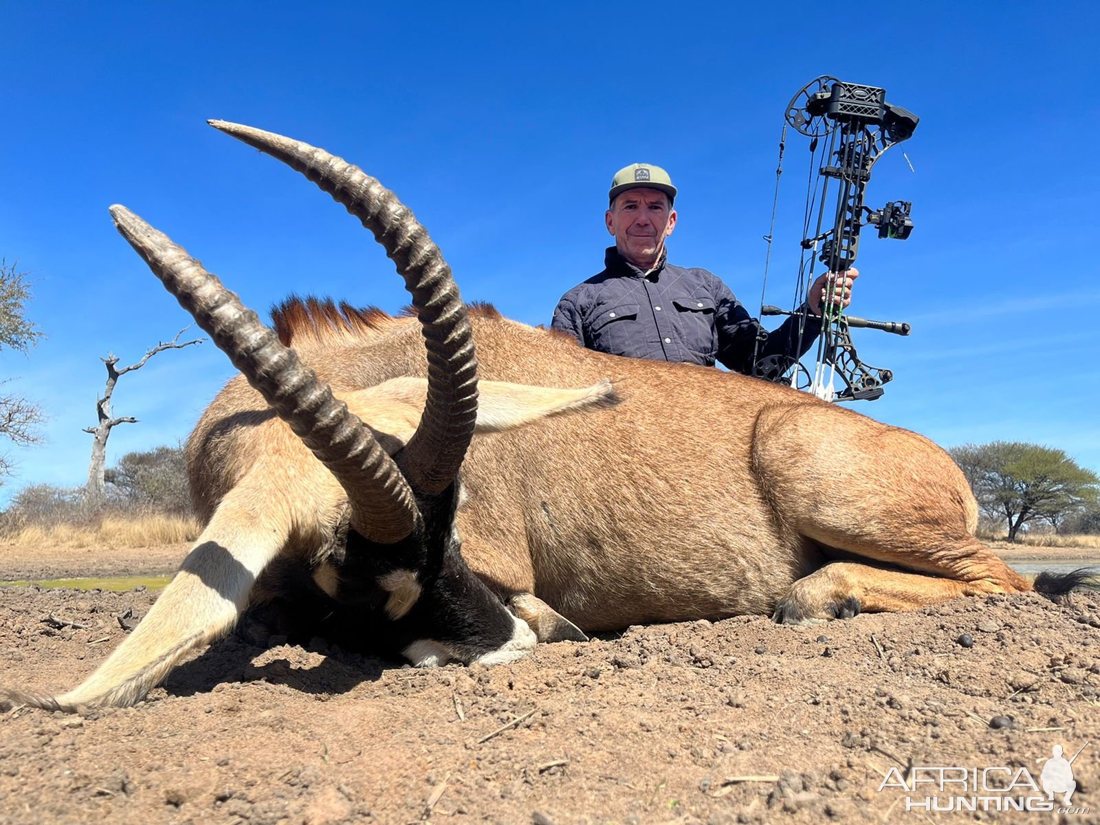 Roan Bow Hunt South Africa