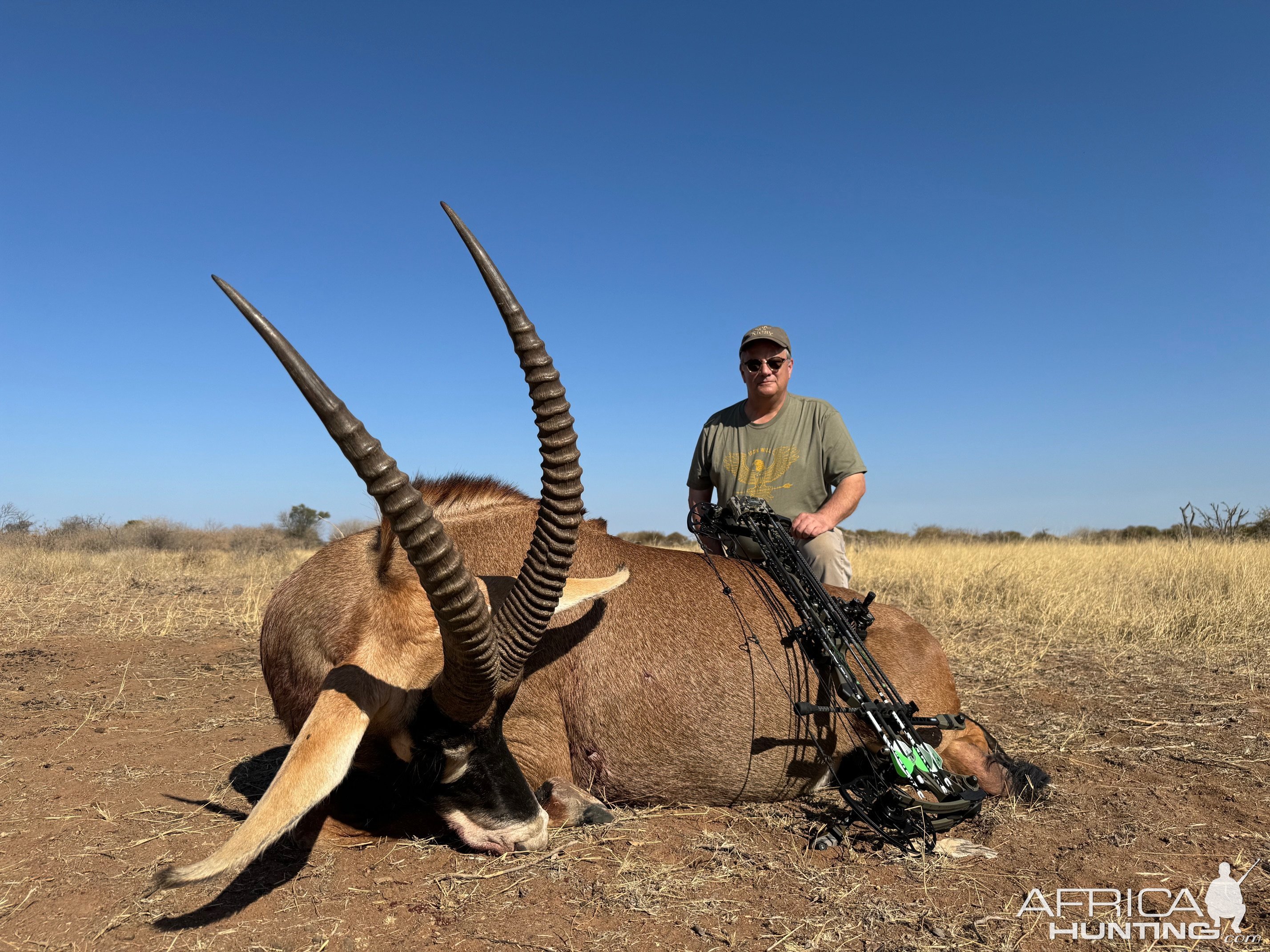 Roan Bow Hunt South Africa