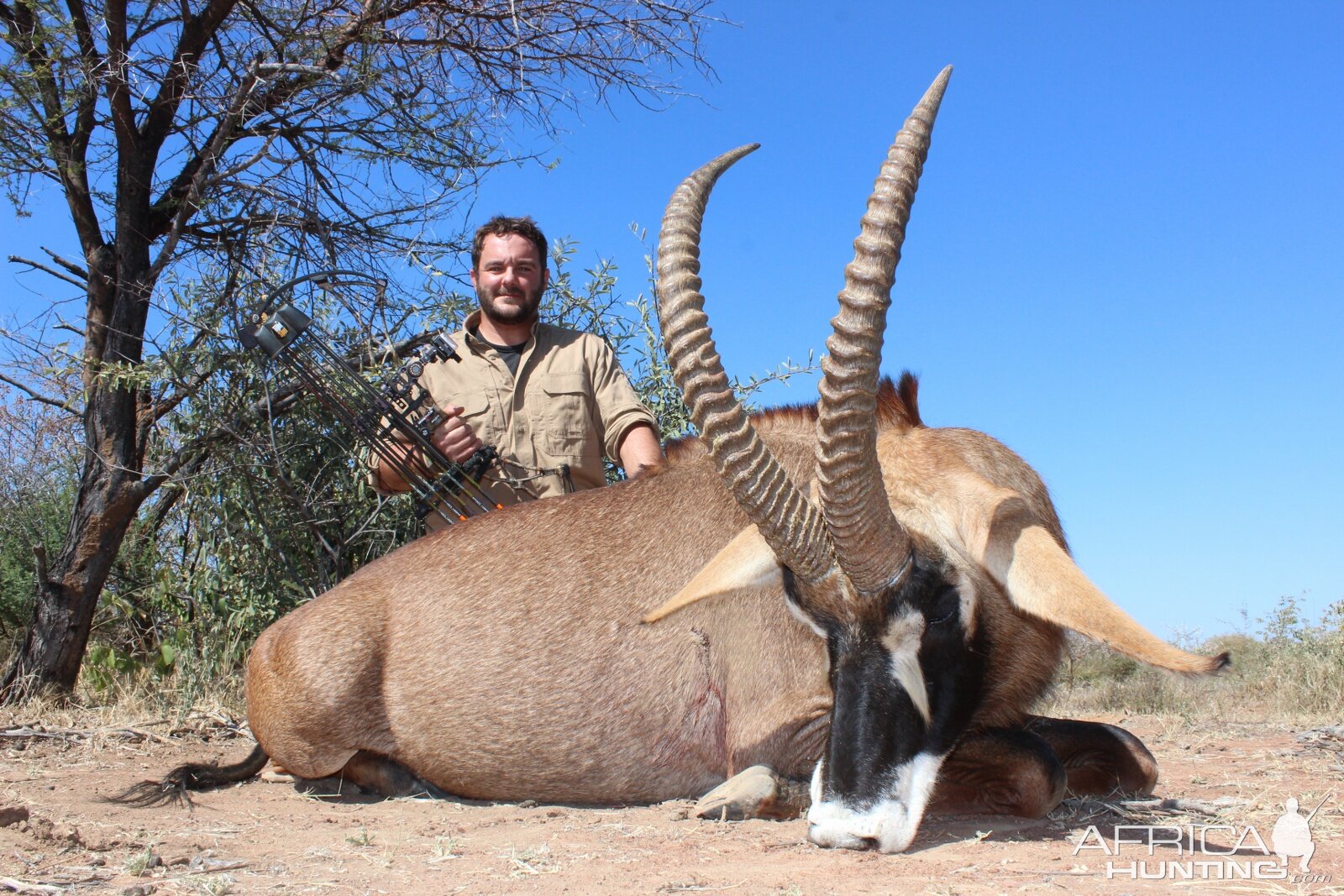 Roan Bow Hunt South Africa