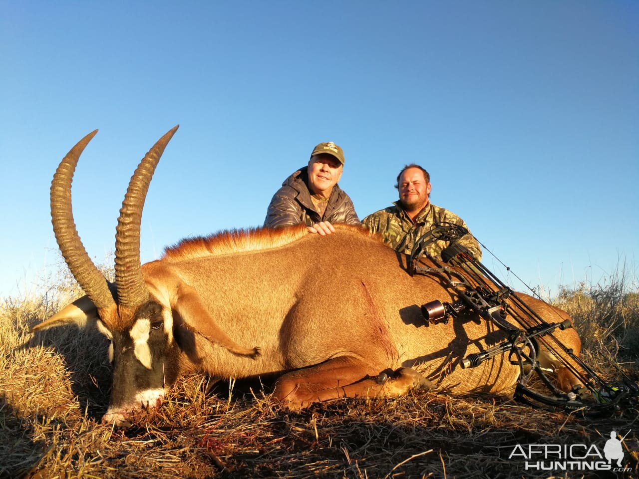 Roan Bow Hunting South Africa