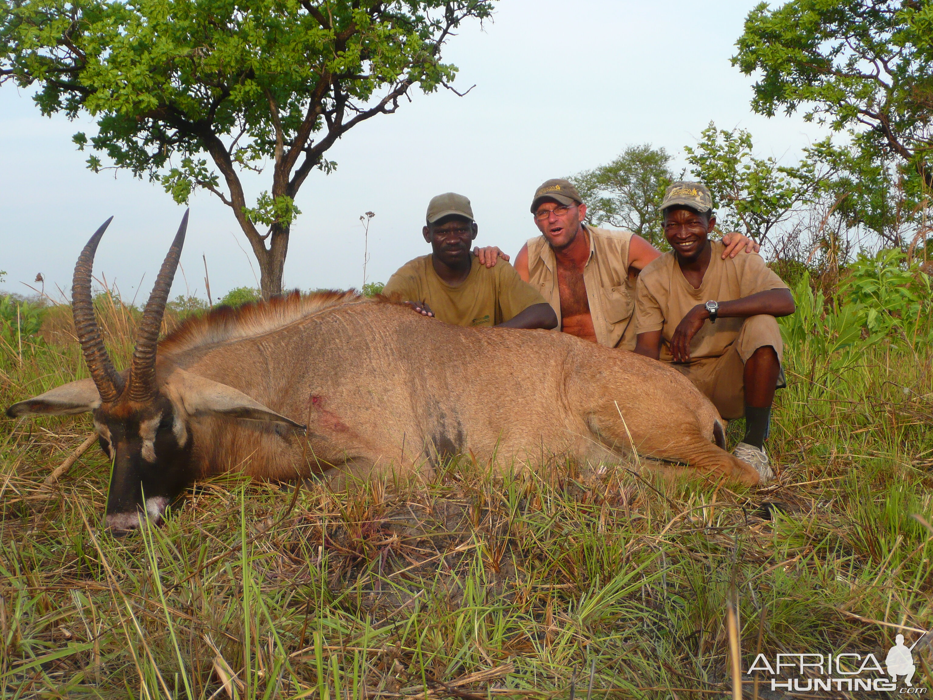 Roan bull 26' inches hunted in Central African Republic