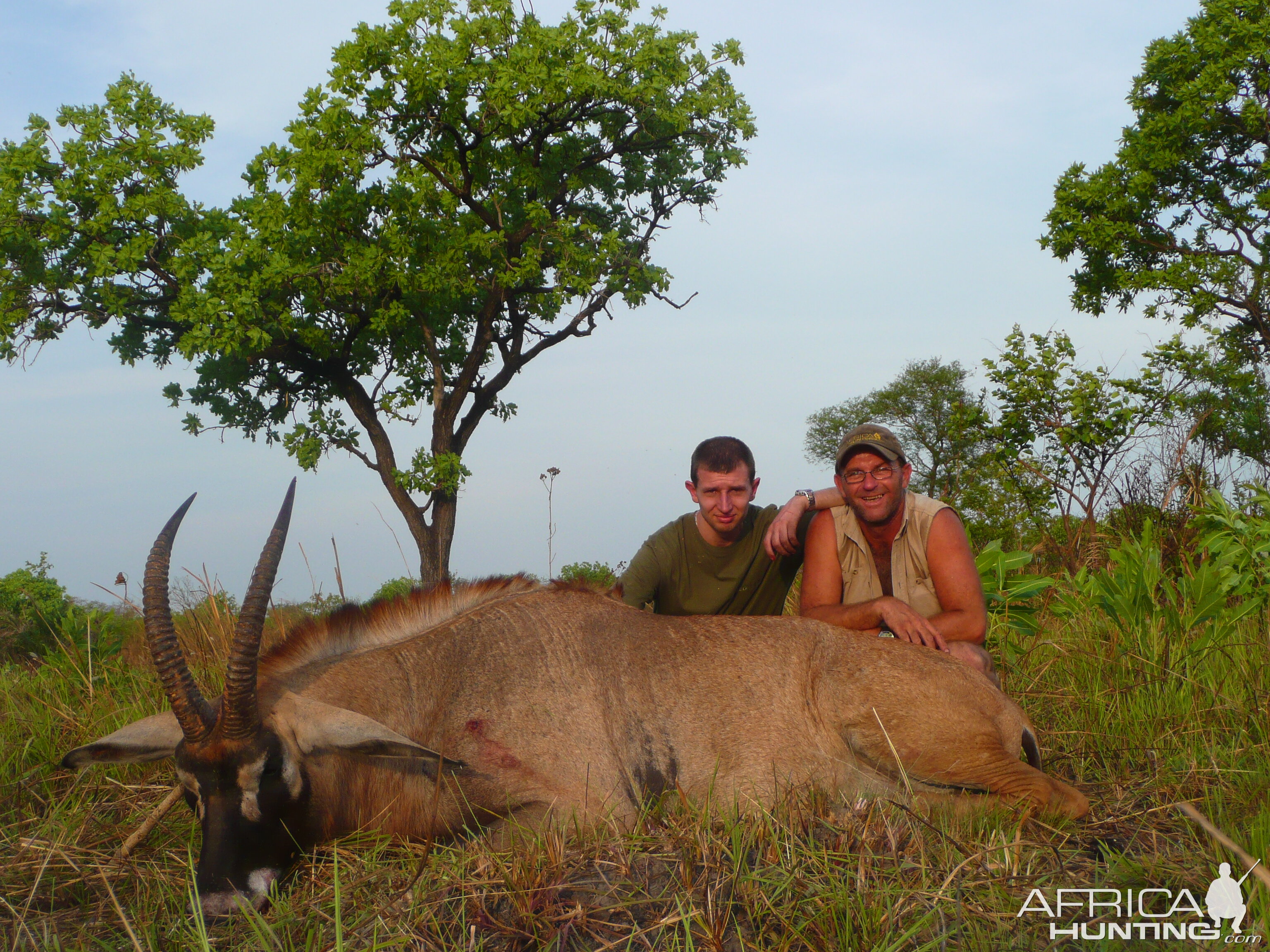 Roan bull 26' inches hunted in Central African Republic