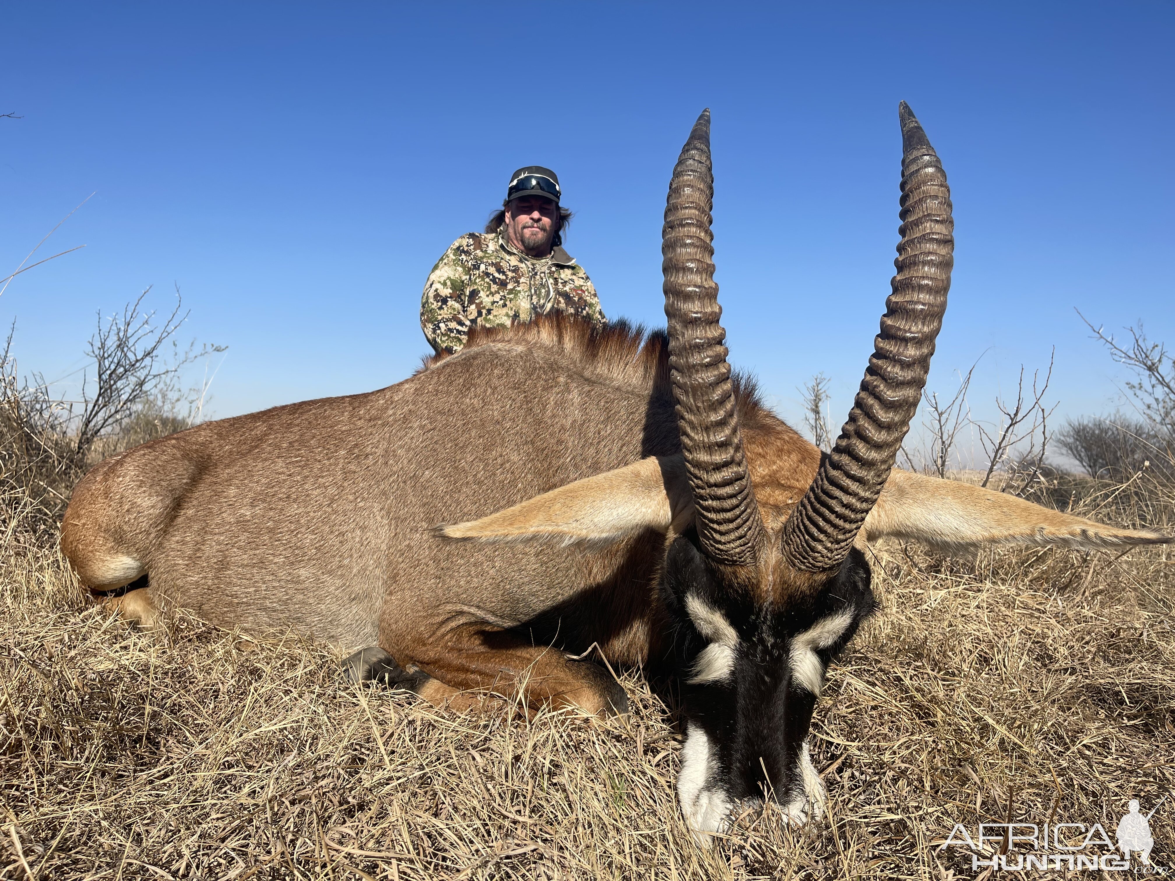 Roan Hunt Eastern Cape South Africa