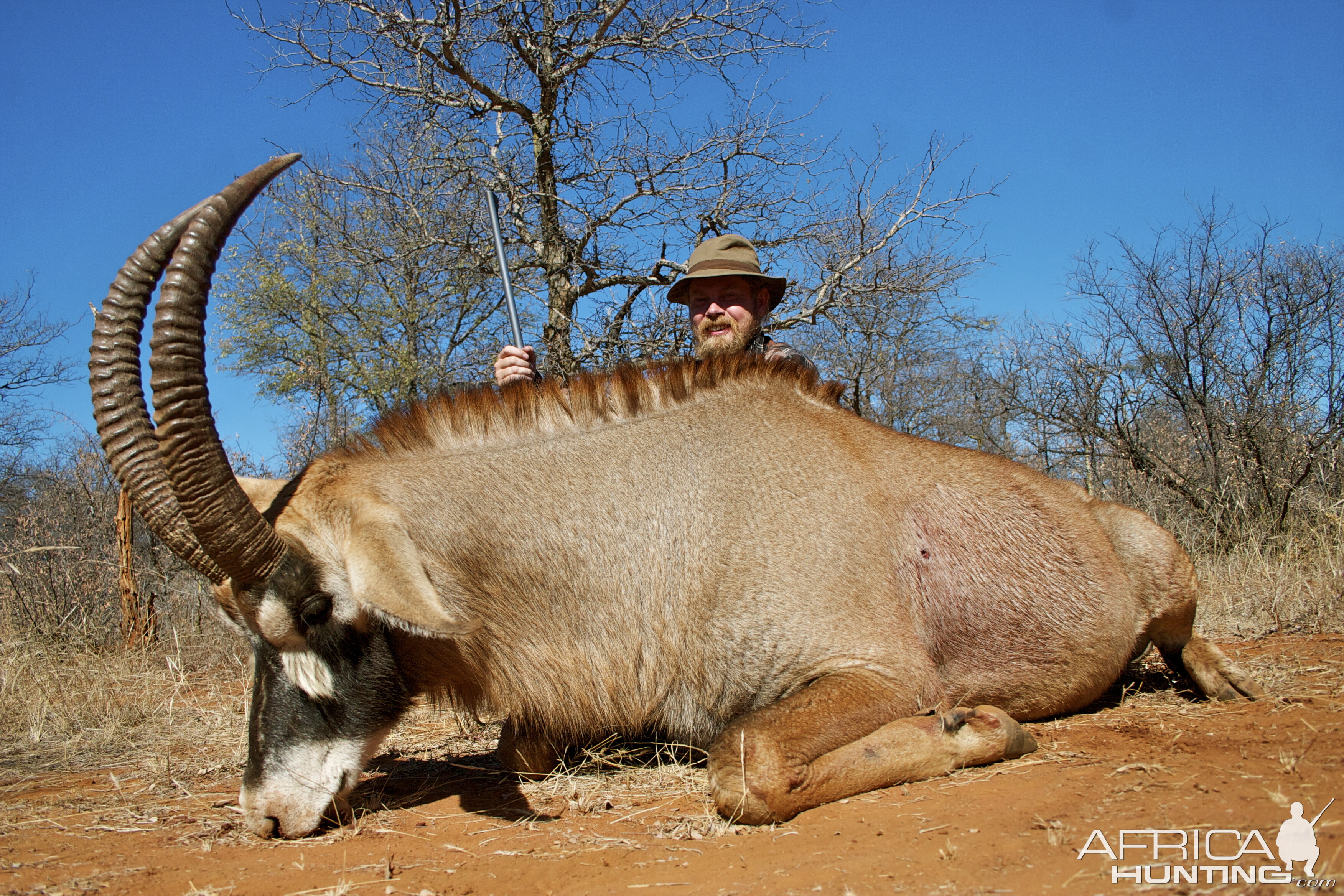 Roan Hunt Limpopo South Africa