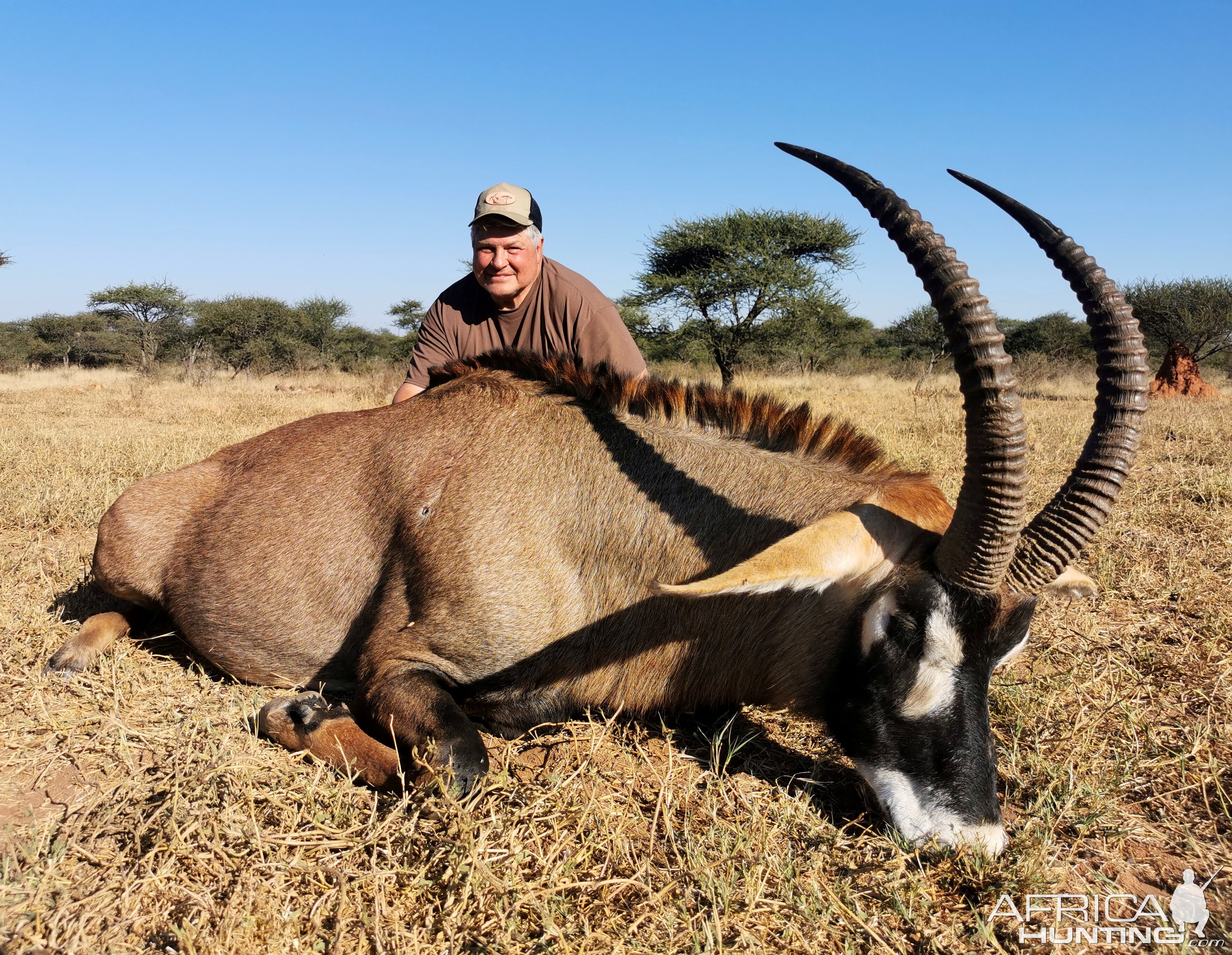 Roan Hunt South Africa