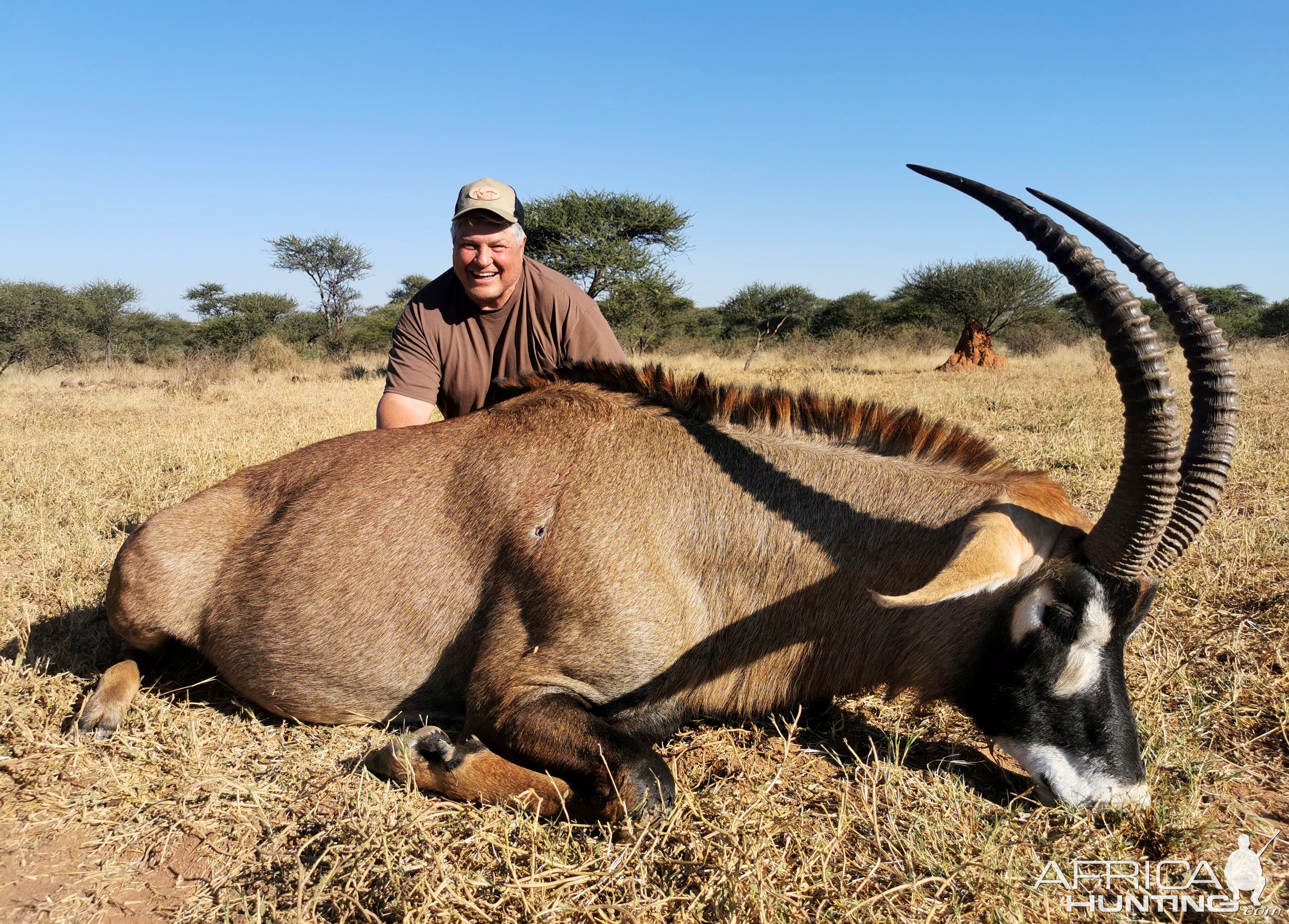 Roan Hunt South Africa