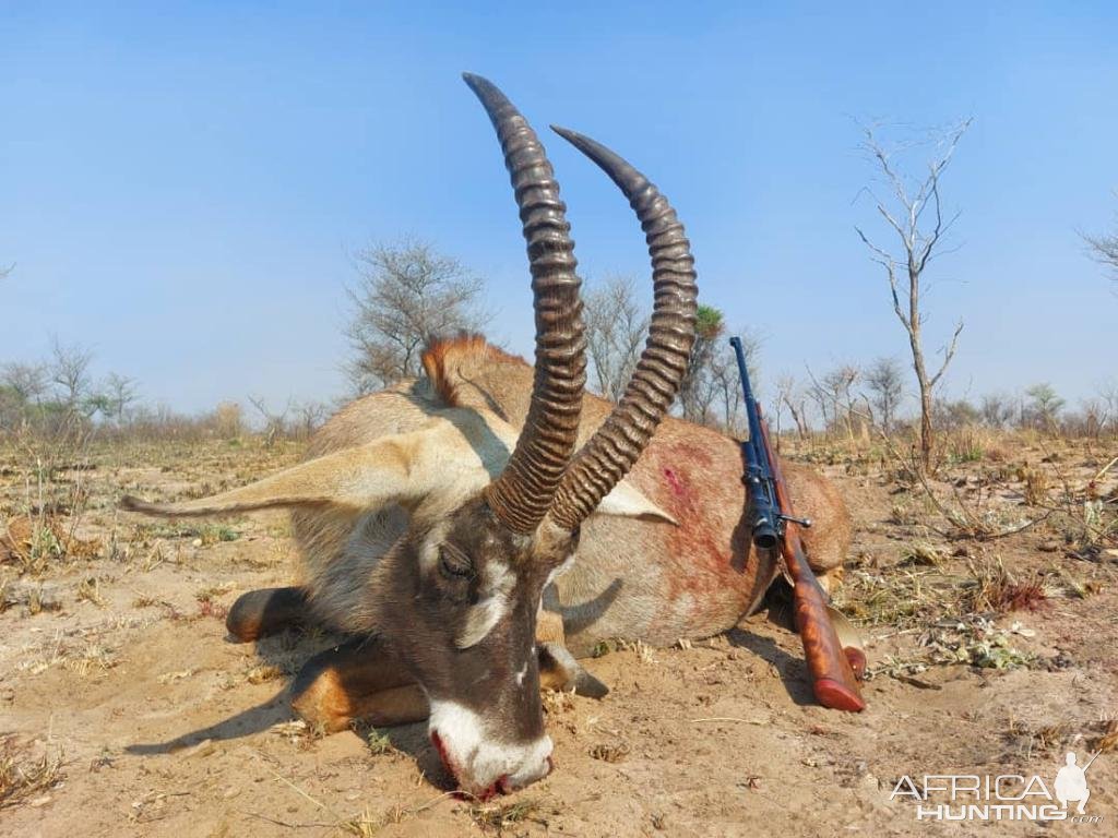 Roan Hunting Bwabwata West Namibia