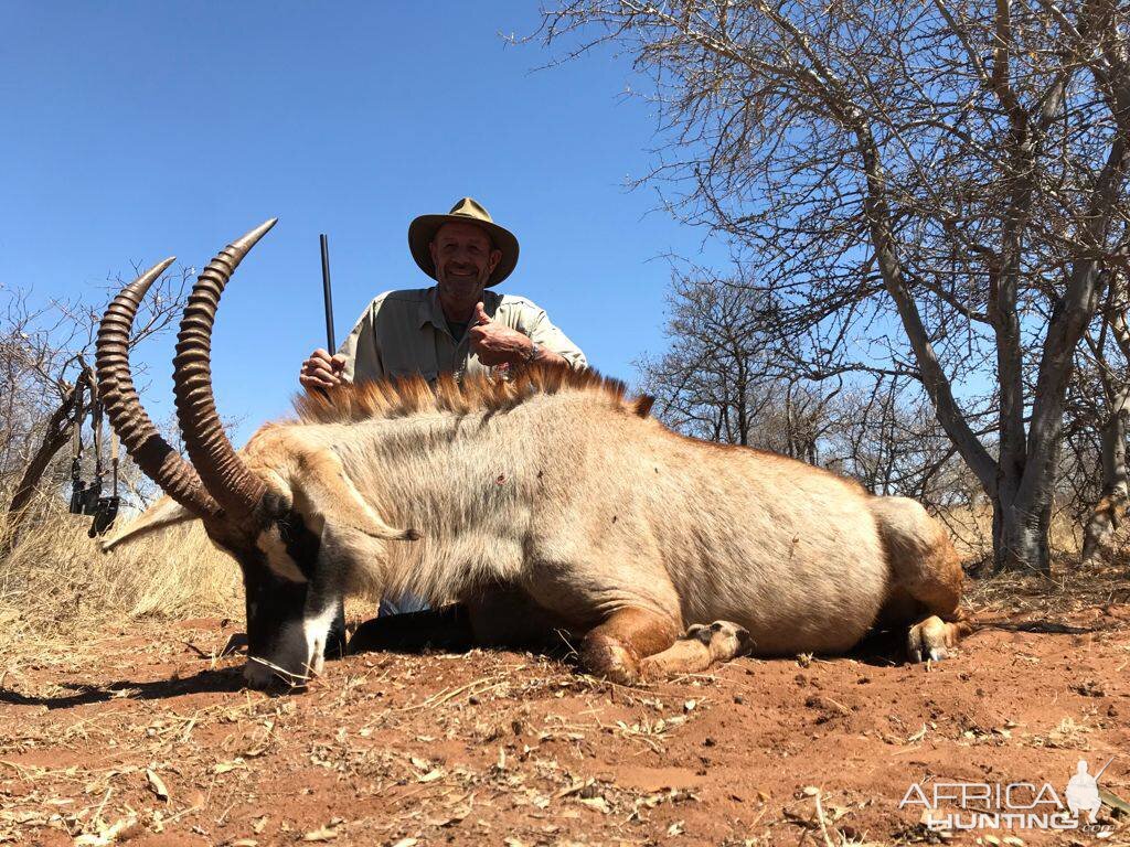 Roan Hunting Limpopo South Africa