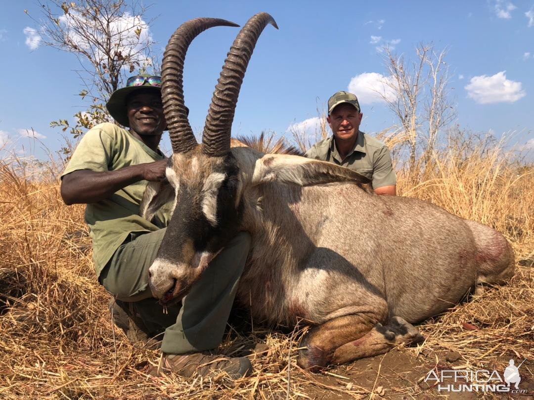 Roan Hunting Matetsi Zimbabwe