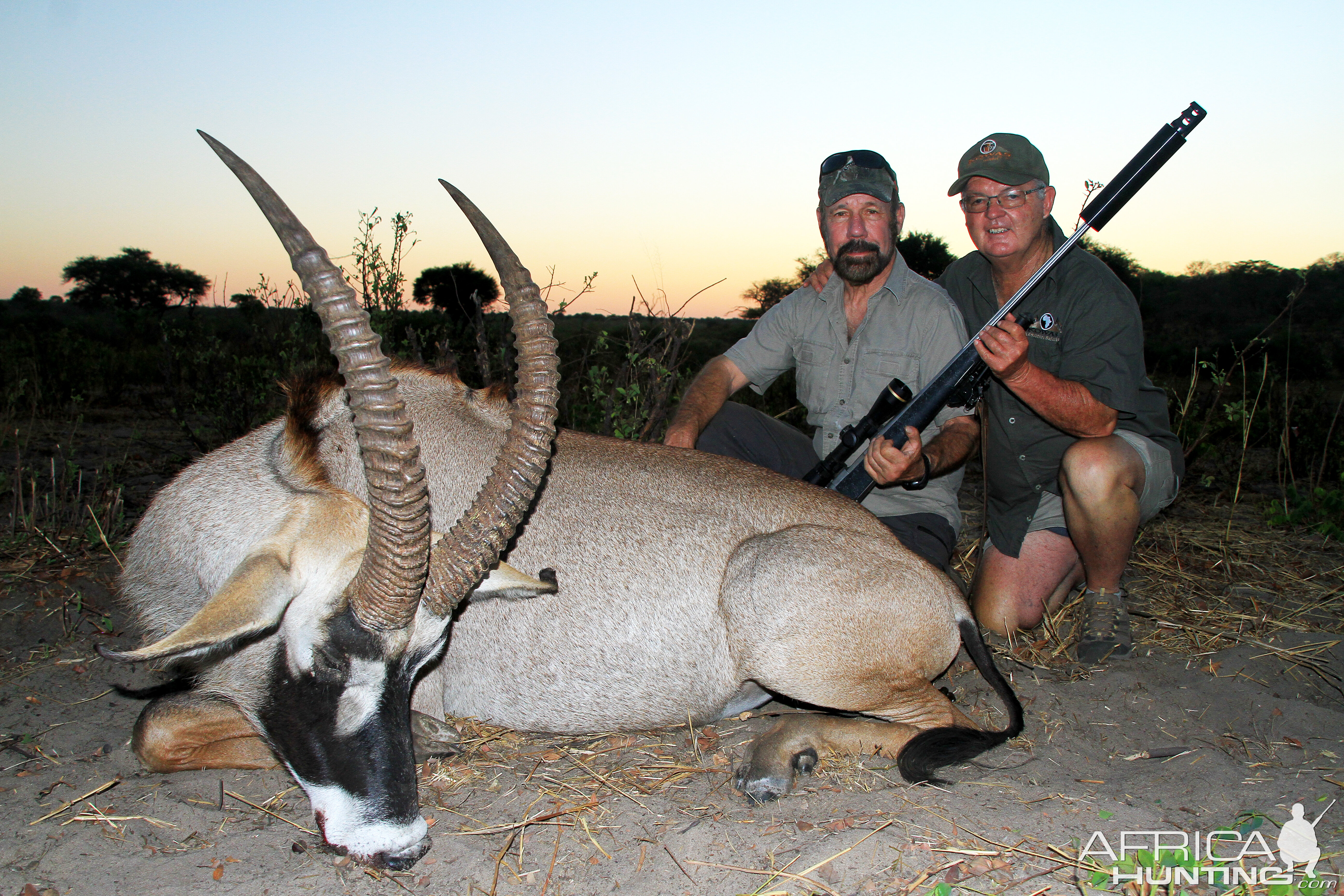 Roan Hunting Namibia