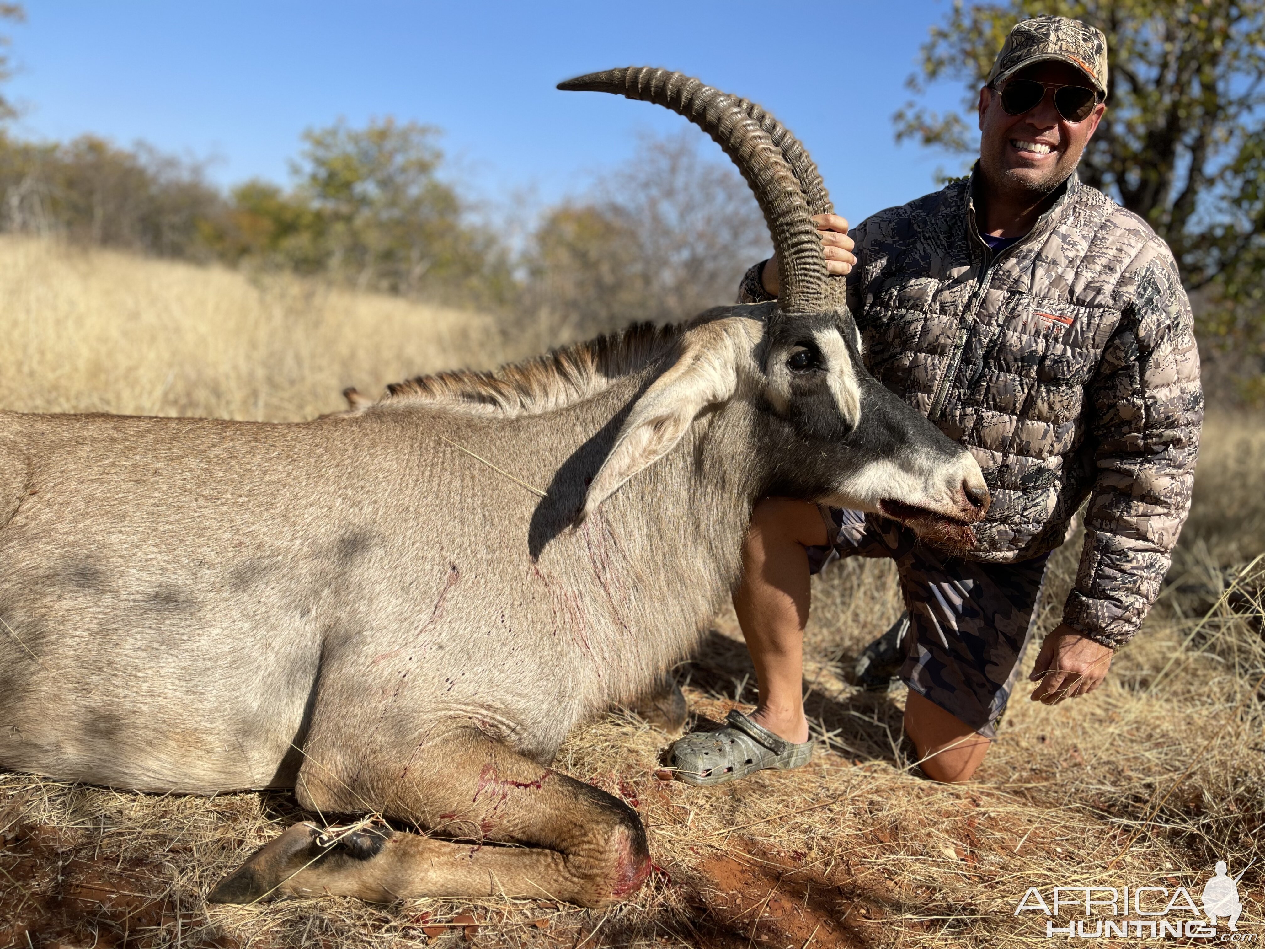 Roan Hunting South Africa