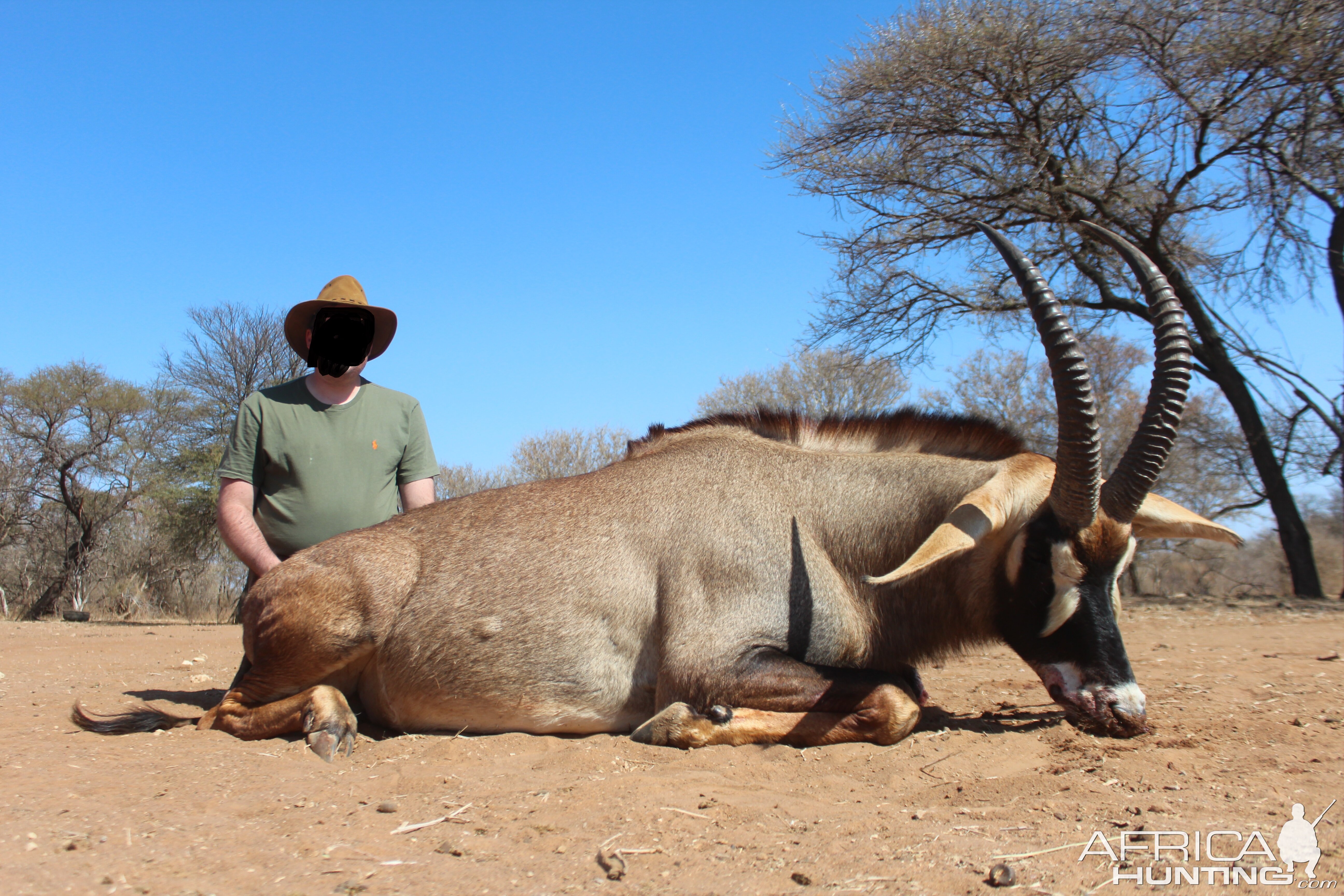 Roan Hunting South Africa