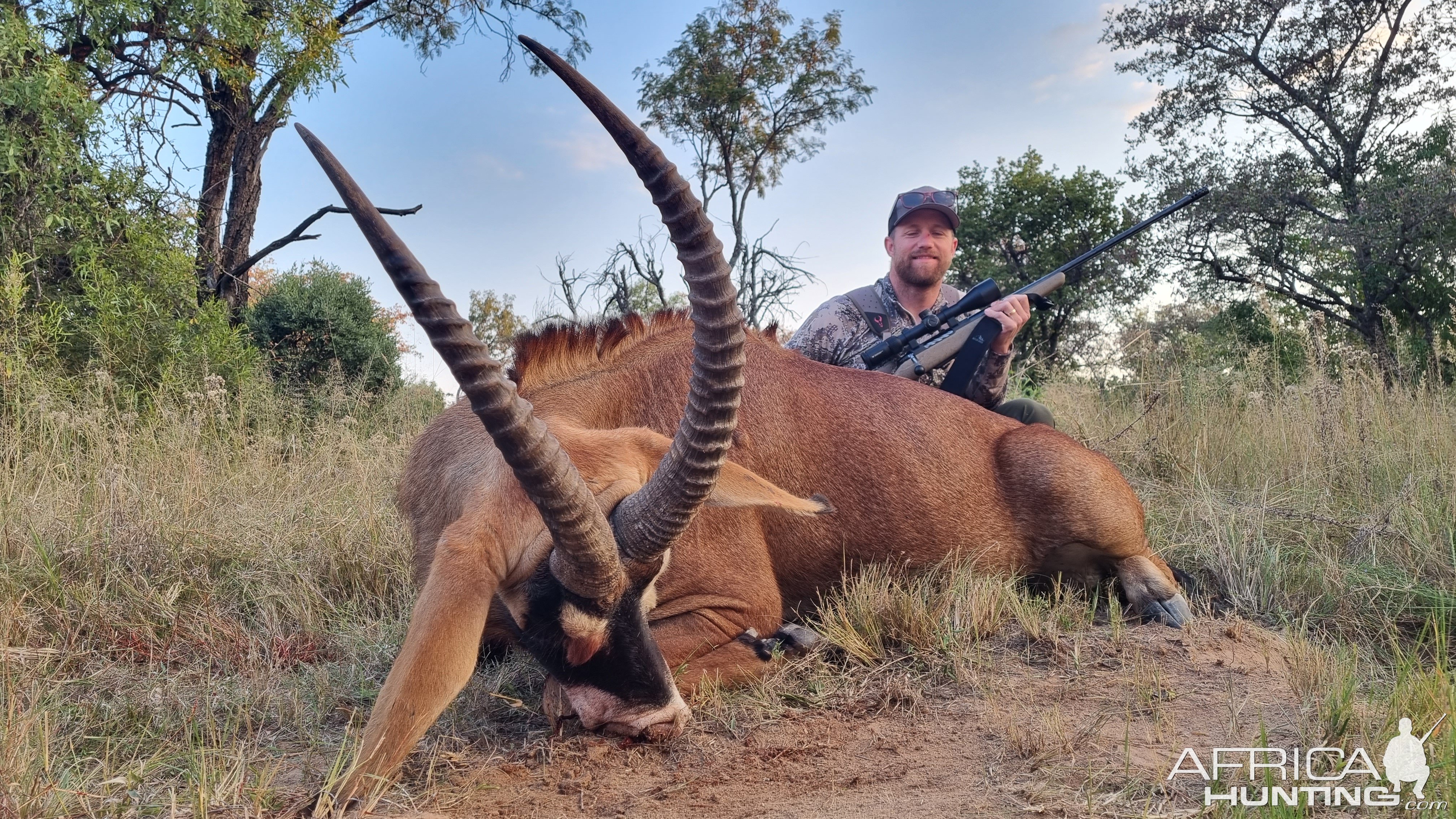 Roan Hunting South Africa