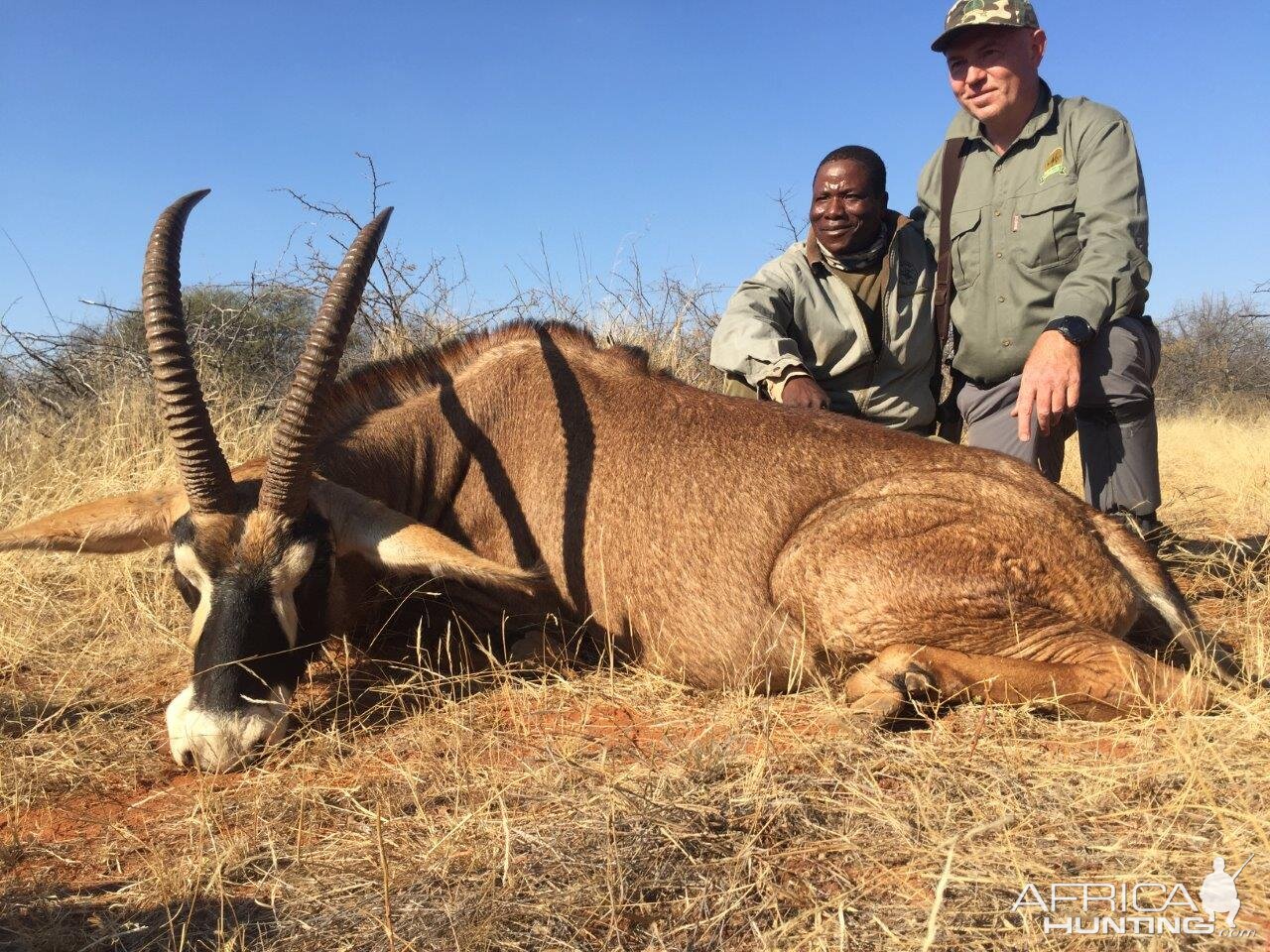 Roan Hunting South Africa