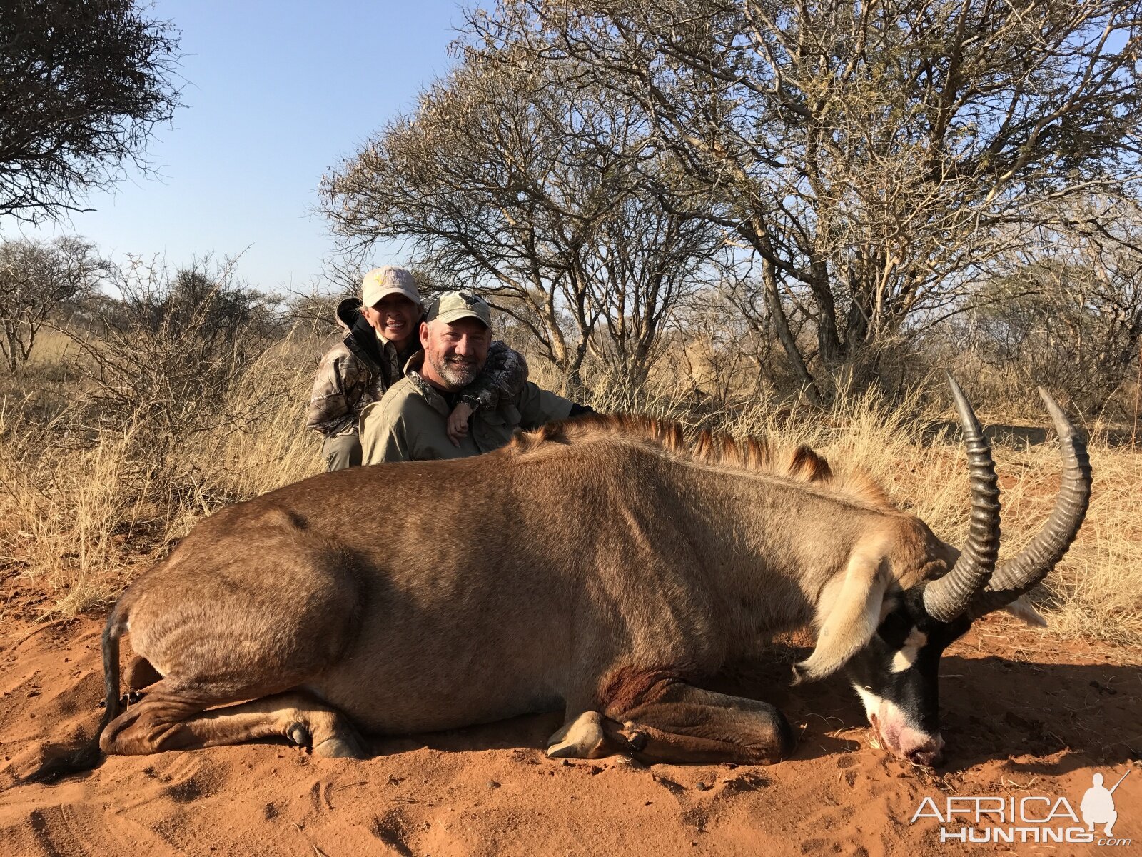 Roan Hunting South Africa