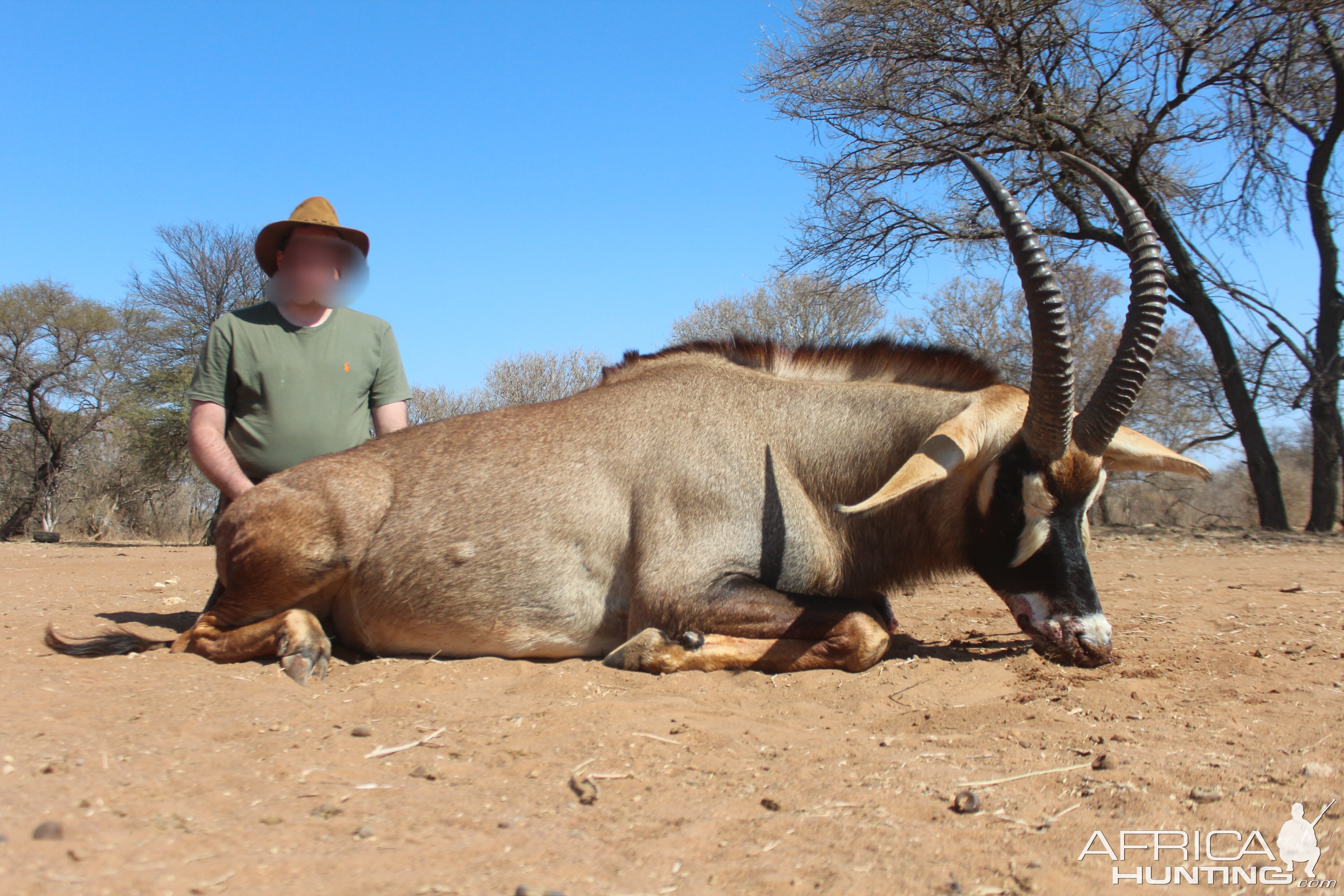 Roan Hunting South Africa