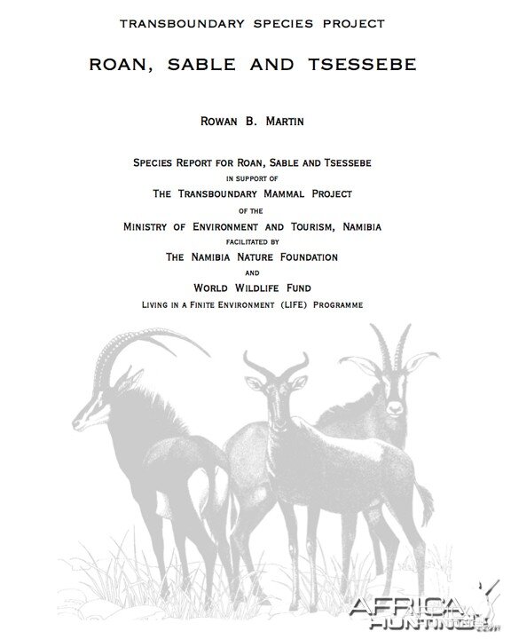 Roan Sable Tsessebe Report