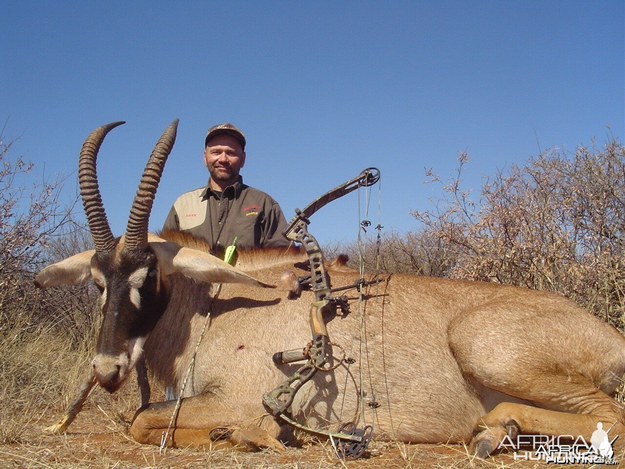 Roan with bow, taken with Warthog Safaris