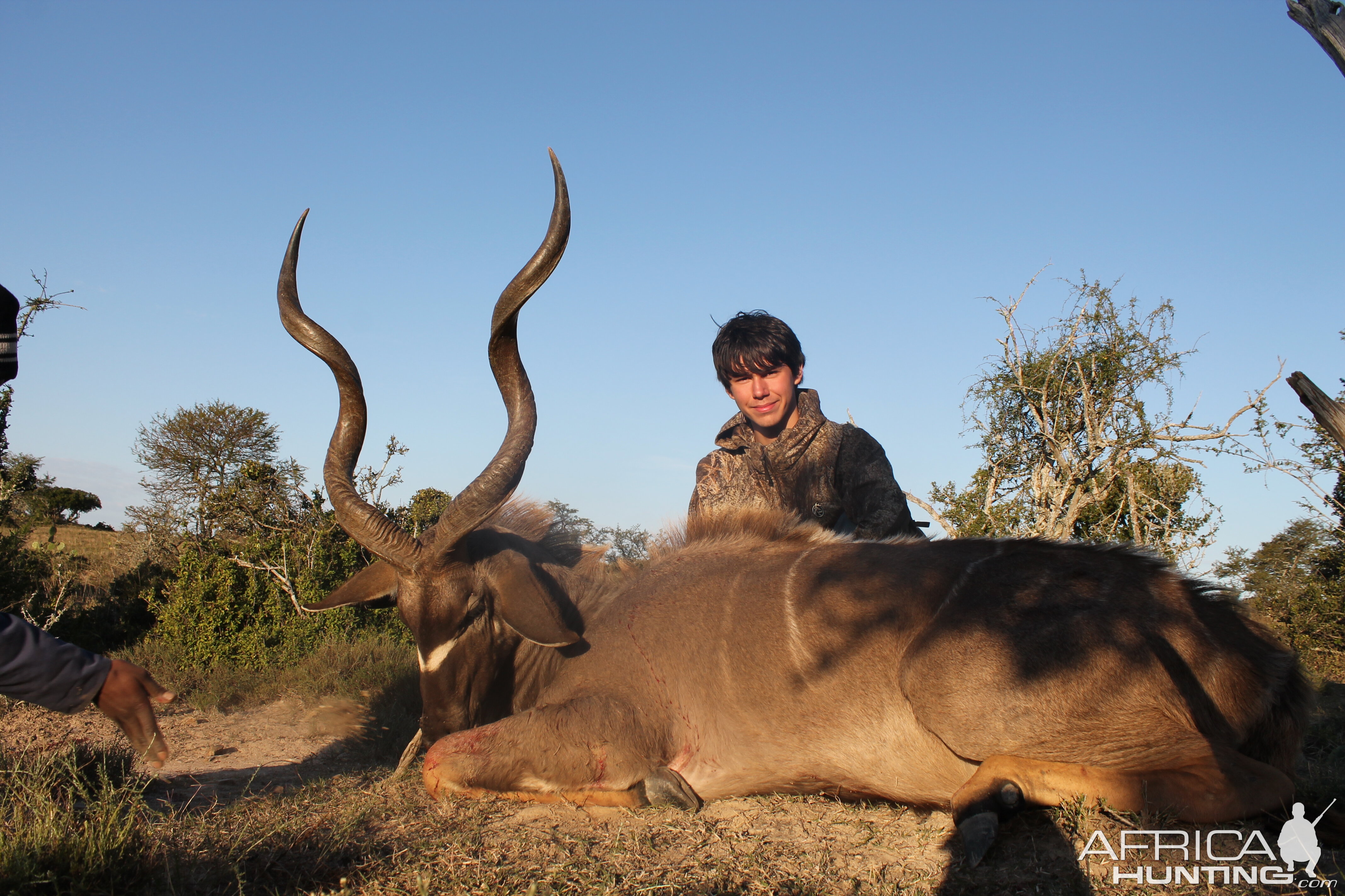 Robbie's Kudu at Huntershill Safari