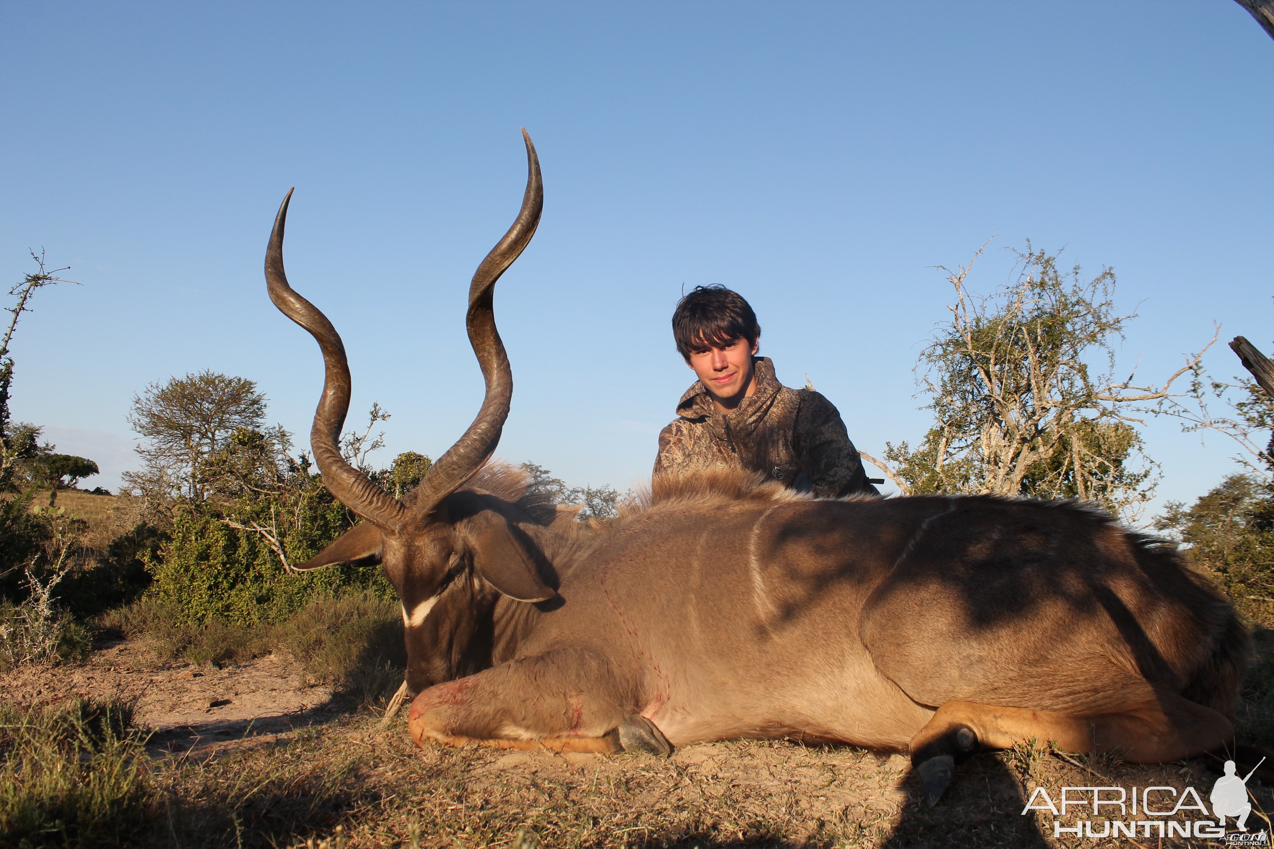 Robbie's Kudu